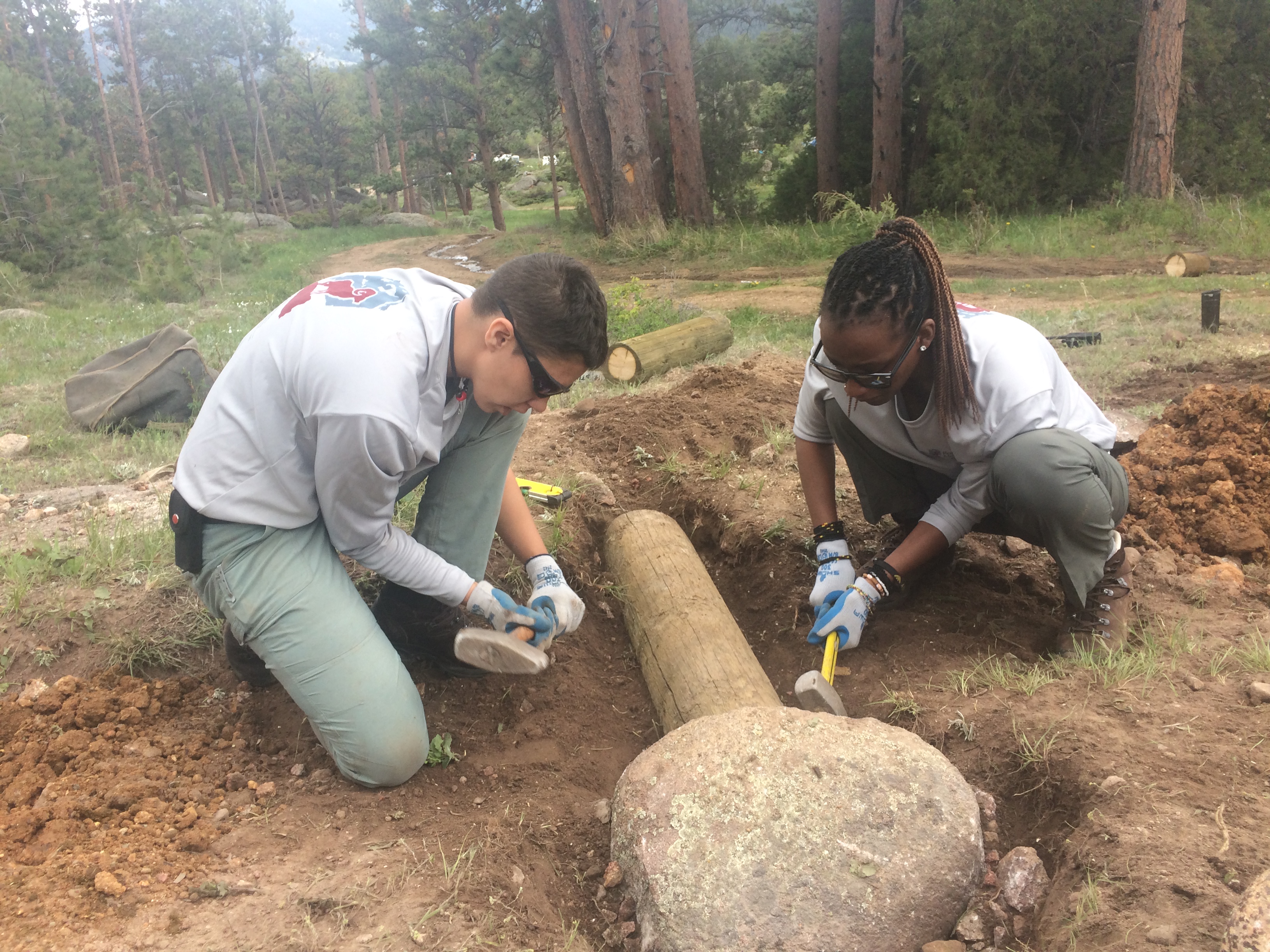 Two people digging in the soil and examining a log in a forest setting