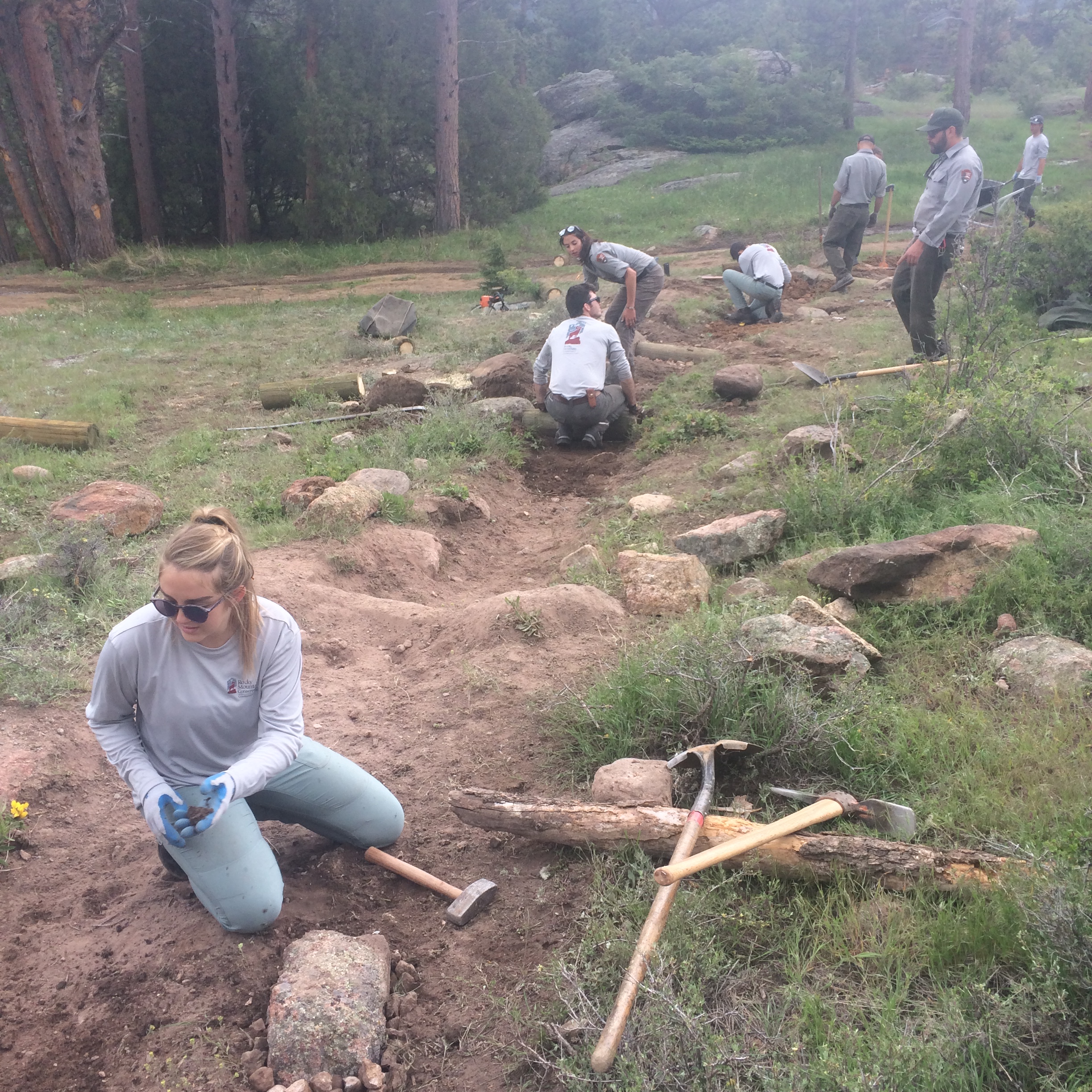 Volunteers working on a trail restoration project in a forested area