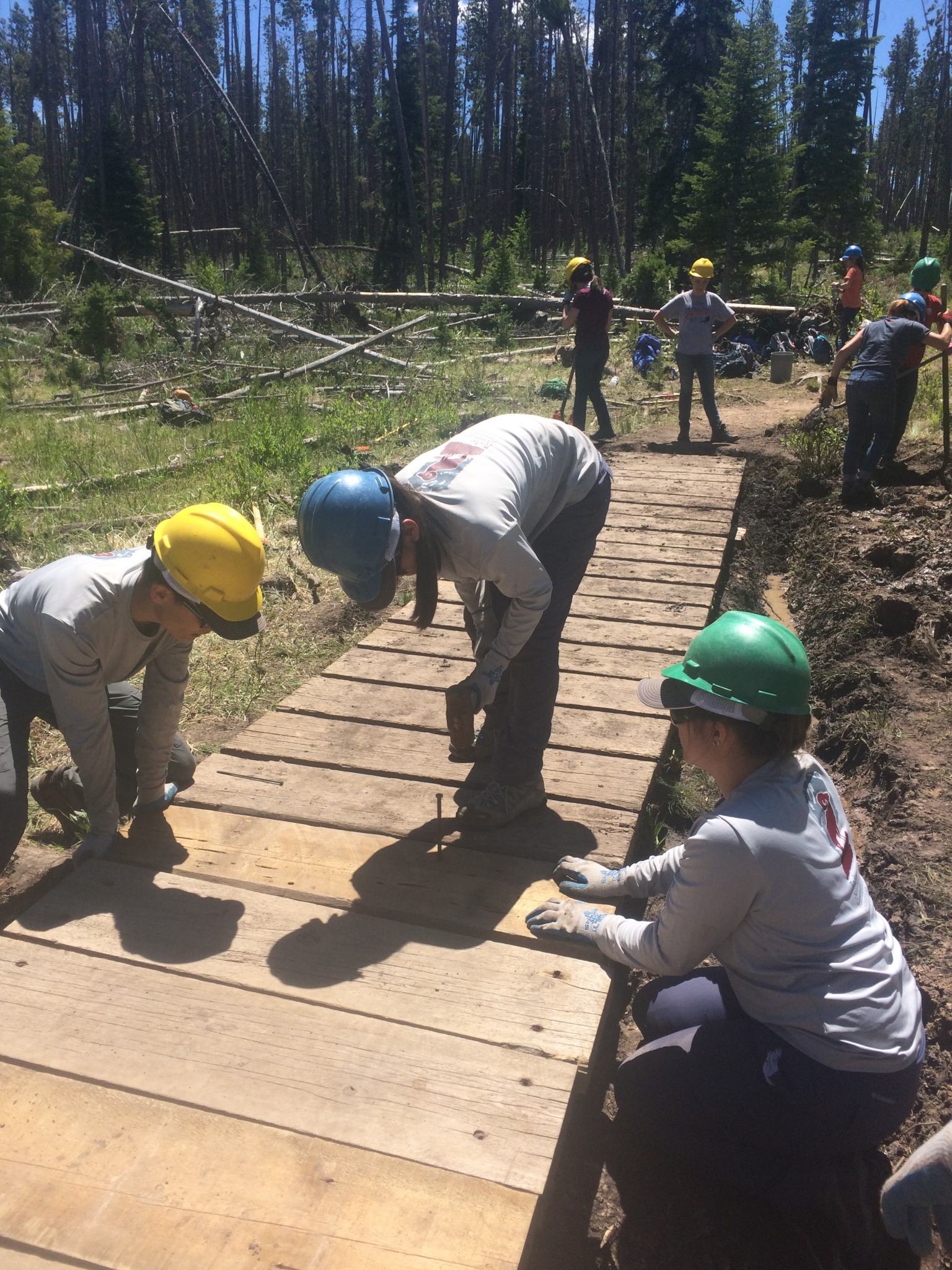 Volunteers in helmets building a wooden walkway in a forested area,