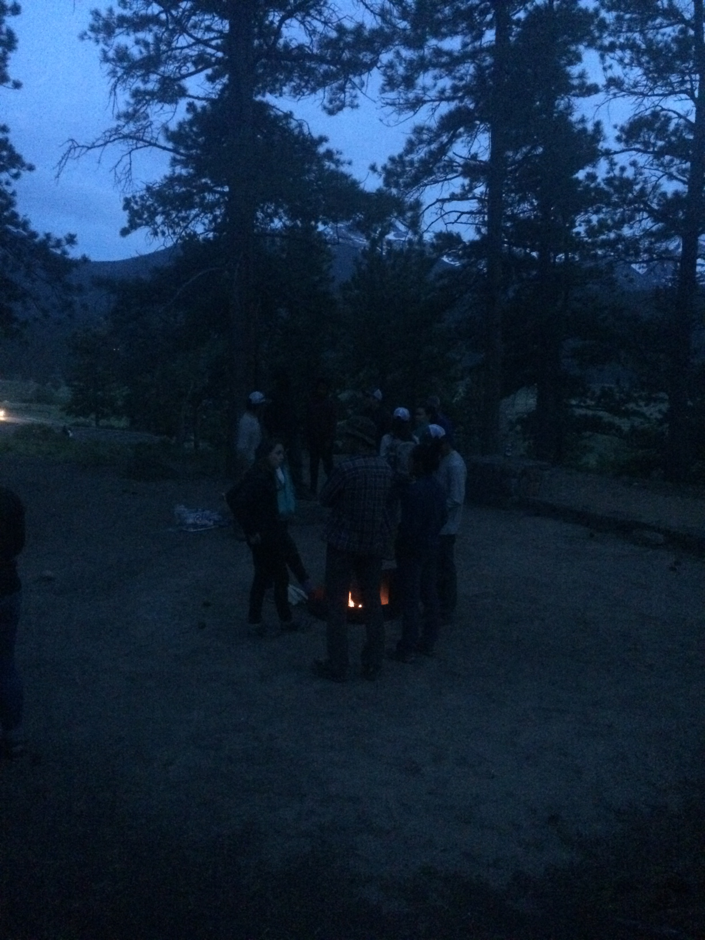 Group of people standing around a small fire in a forest at dusk.