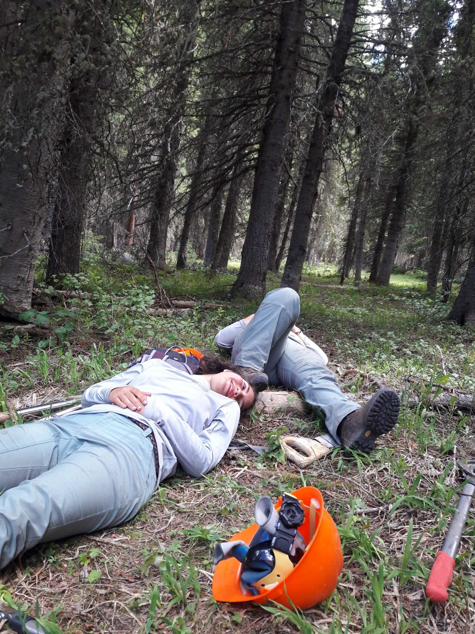 A person lying on the ground in a forest resting beneath tall pine trees.