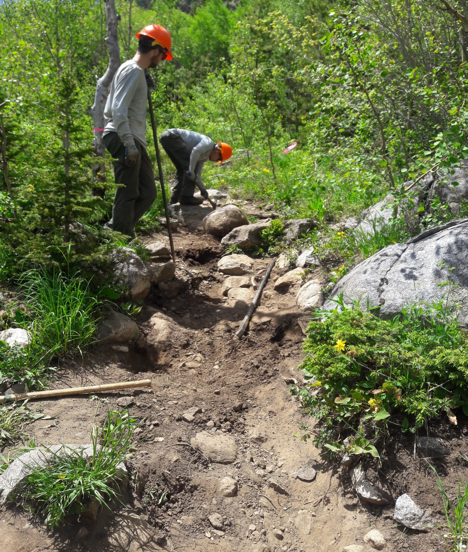 Two people wearing hard hats working on a rocky trail in a forested area