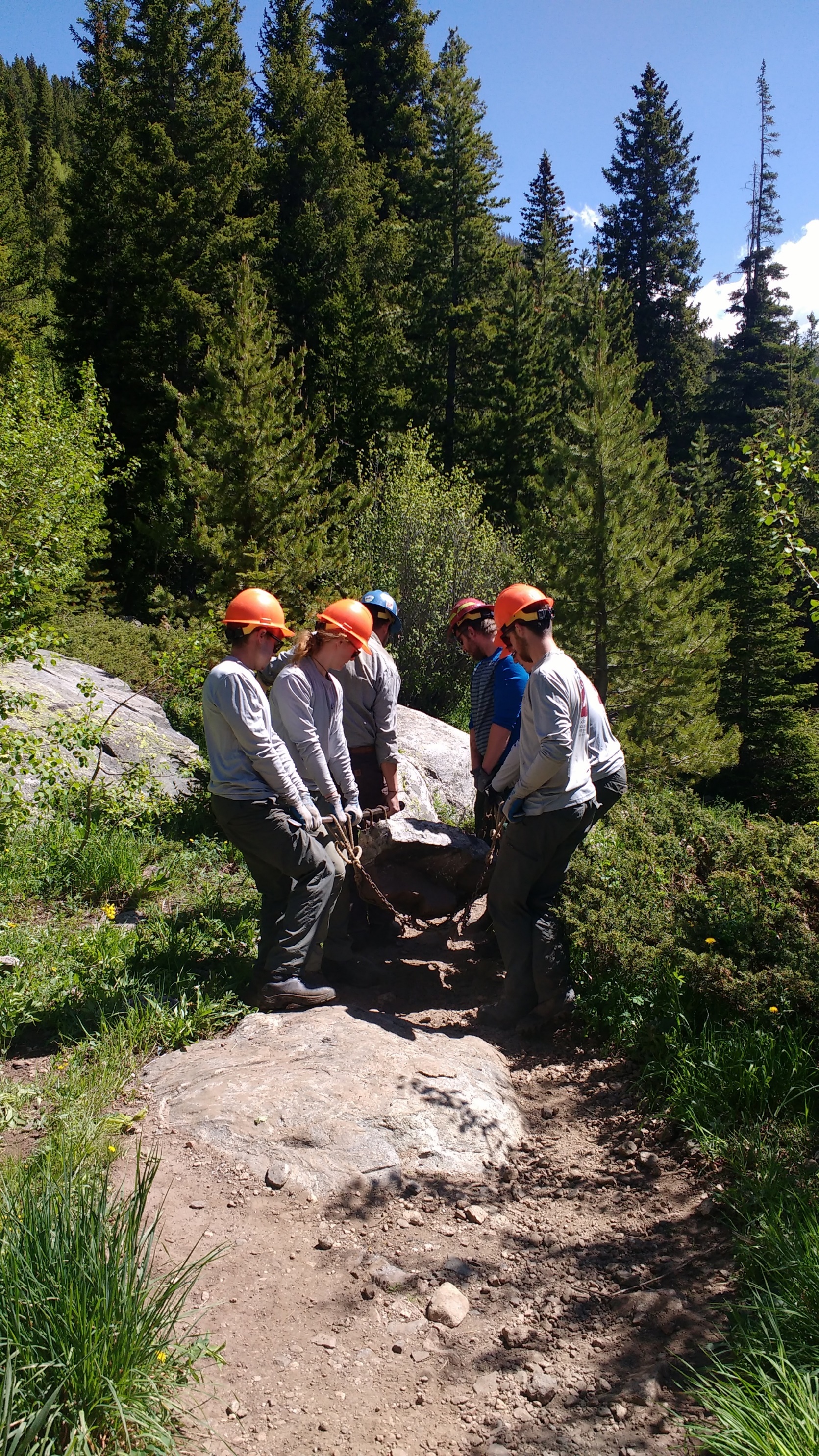 Five forestry workers in safety gear discussing near a large rock in a sunlit forest.