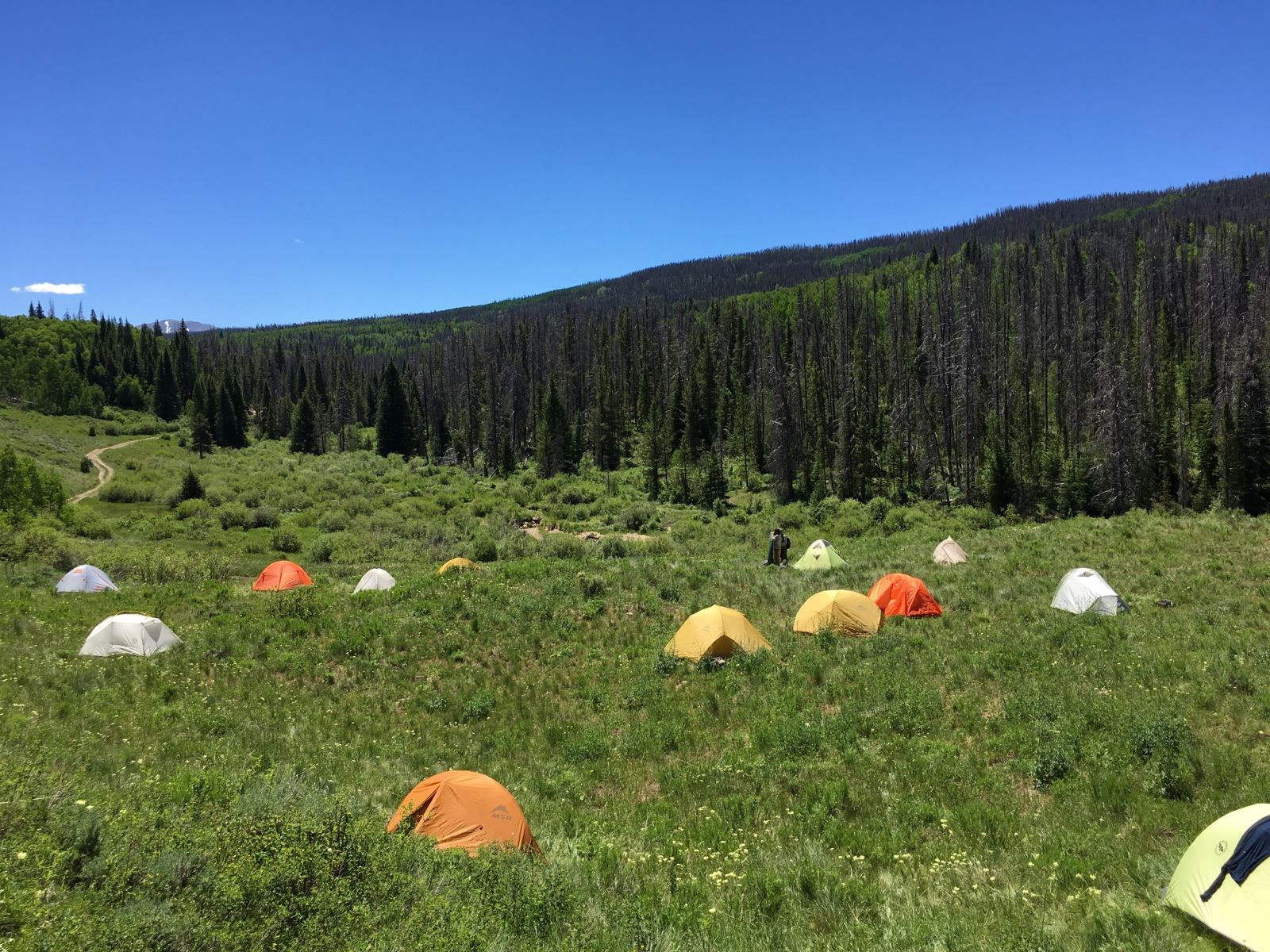 A scenic camping area with several colorful tents spread out in a lush green valley