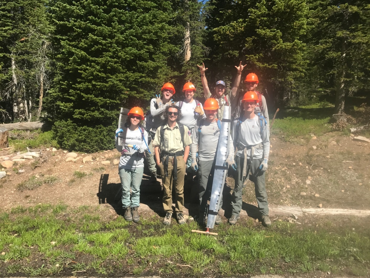 A group of eight forest workers in helmets and safety gear smiling and posing in a wooded area.