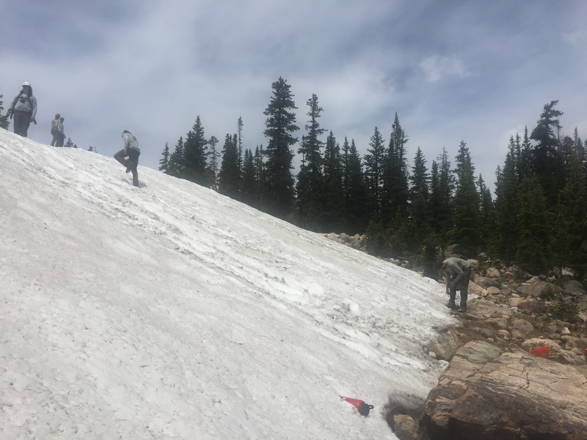 People hiking and sliding on a snowy slope with pine trees in the background on a cloudy day.