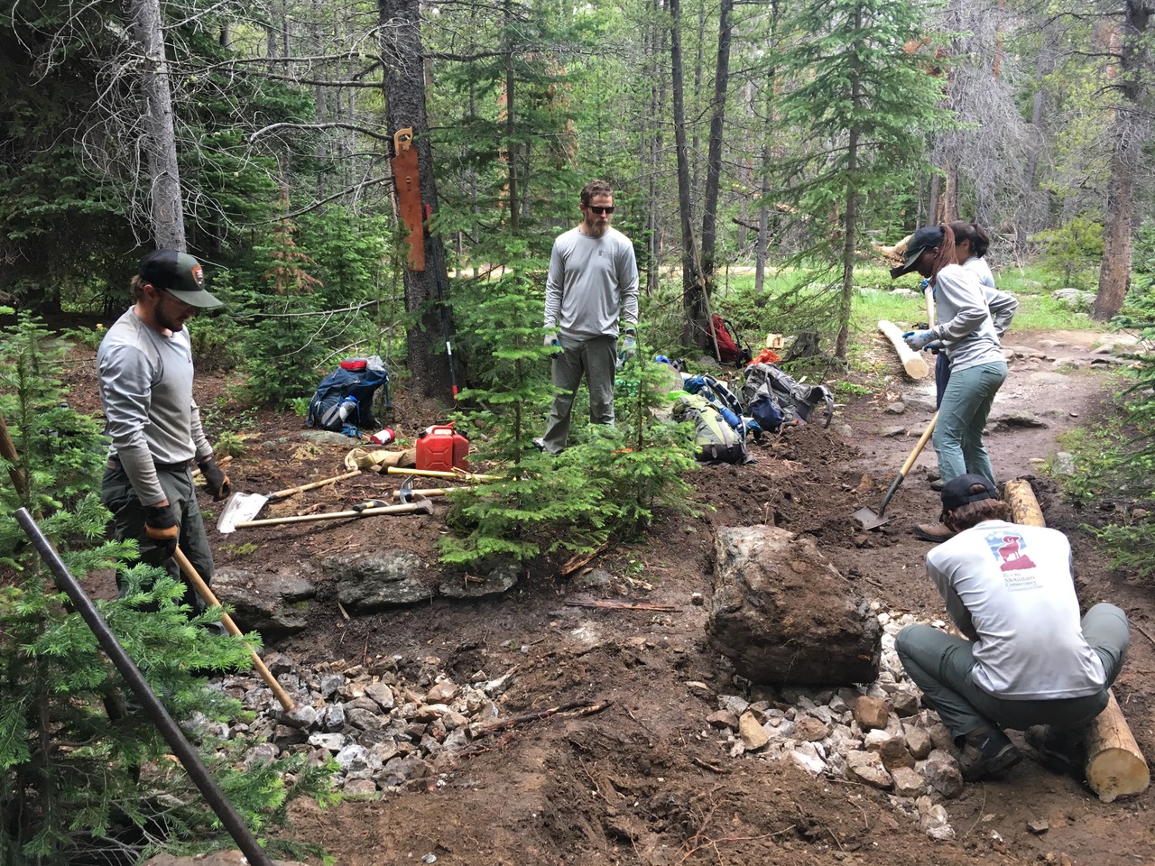 Group of people cleaning in the forest