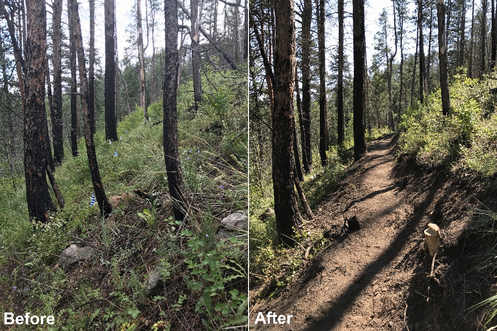 Before and after photos of creating a trail in the woods