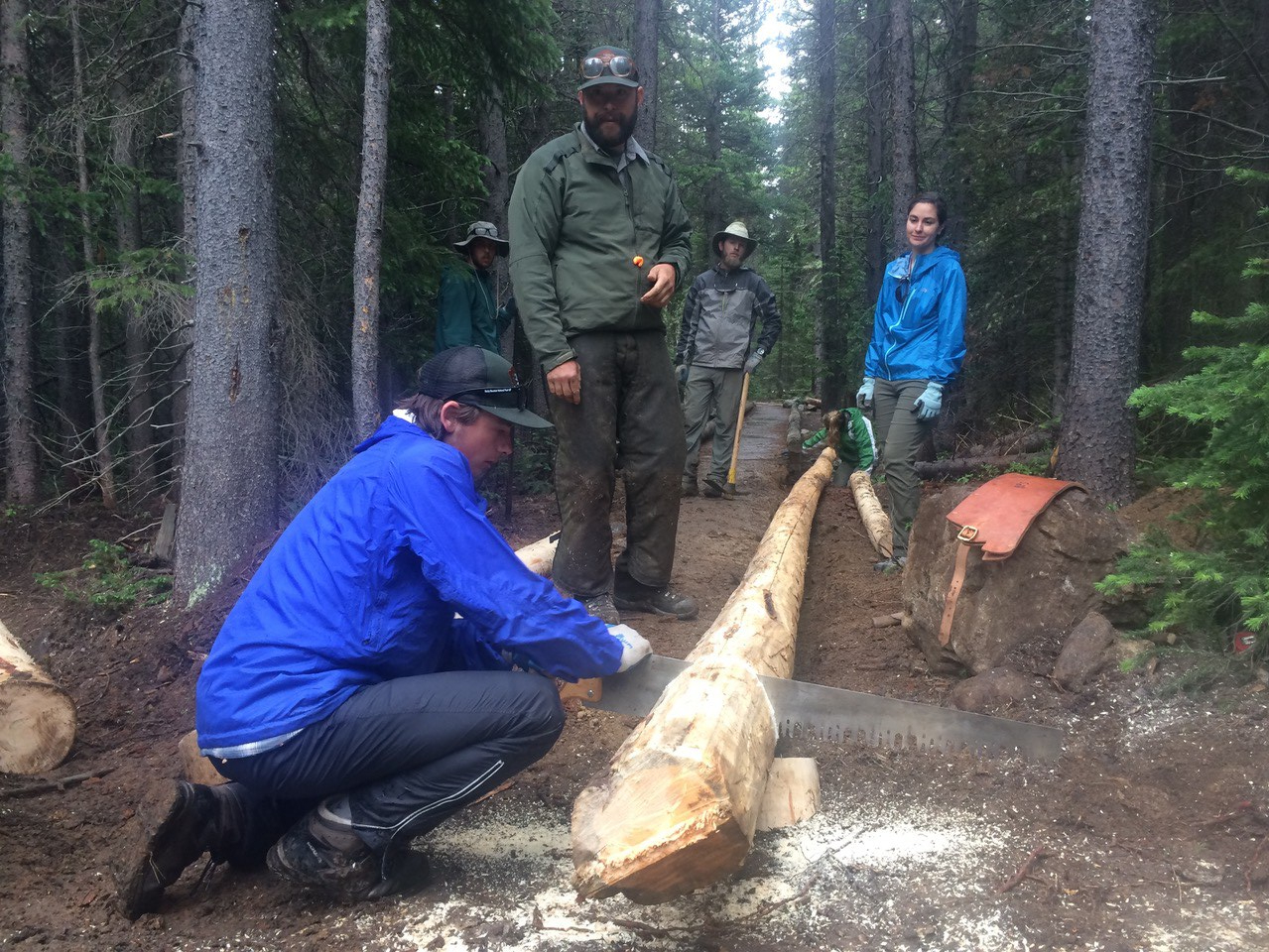 A group of people, wearing outdoor gear to saw log in the forest