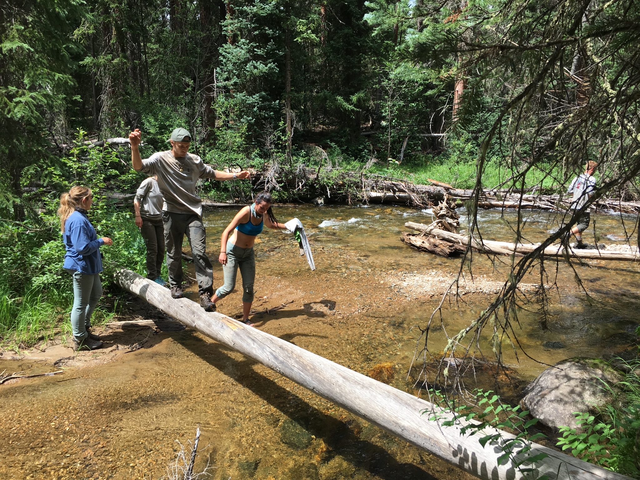 Group of hikers crossing a stream on a fallen log in a forest, with one person extending a hand to help another balance.