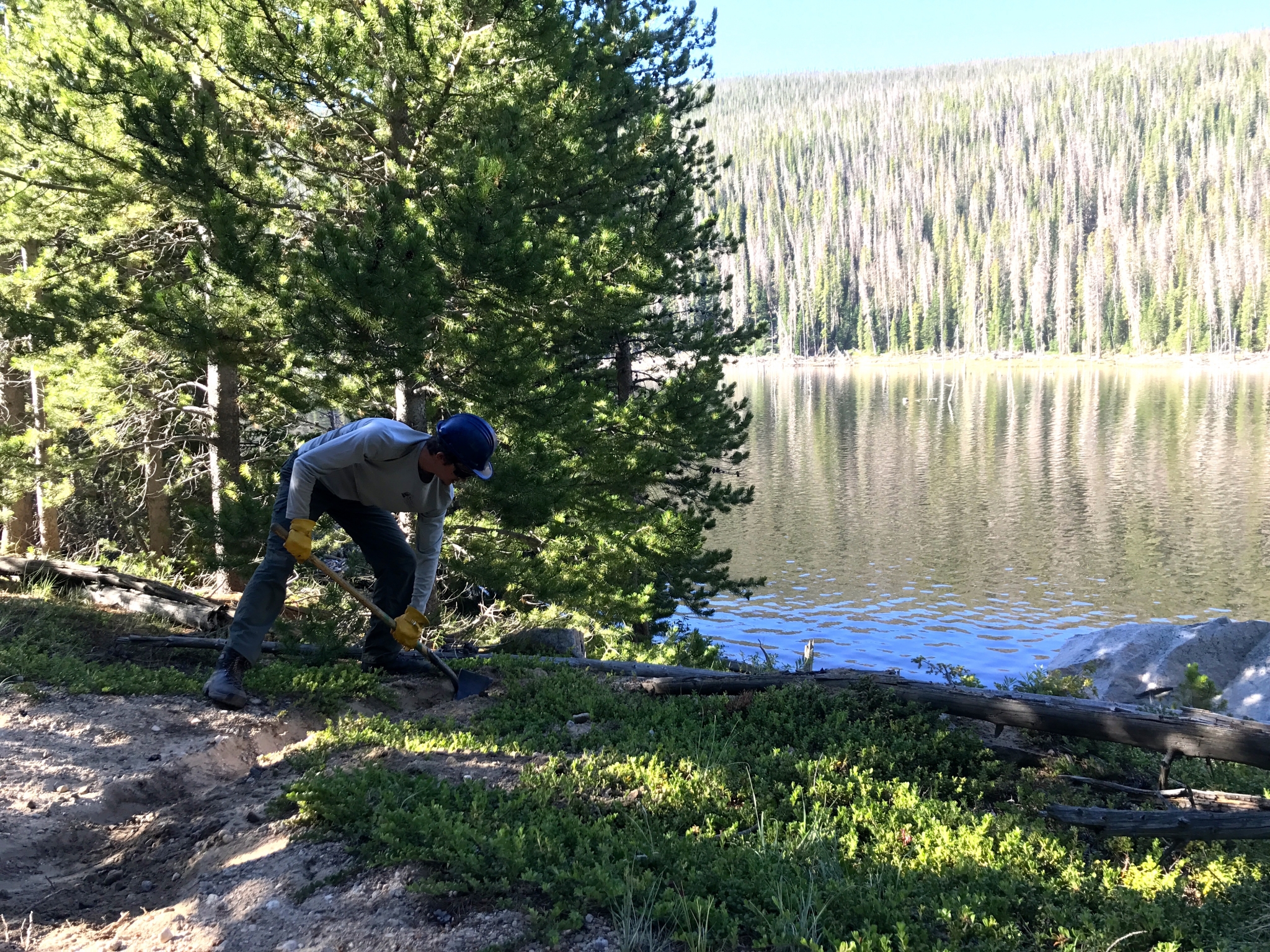 A person using a shovel to dig by a lakeside