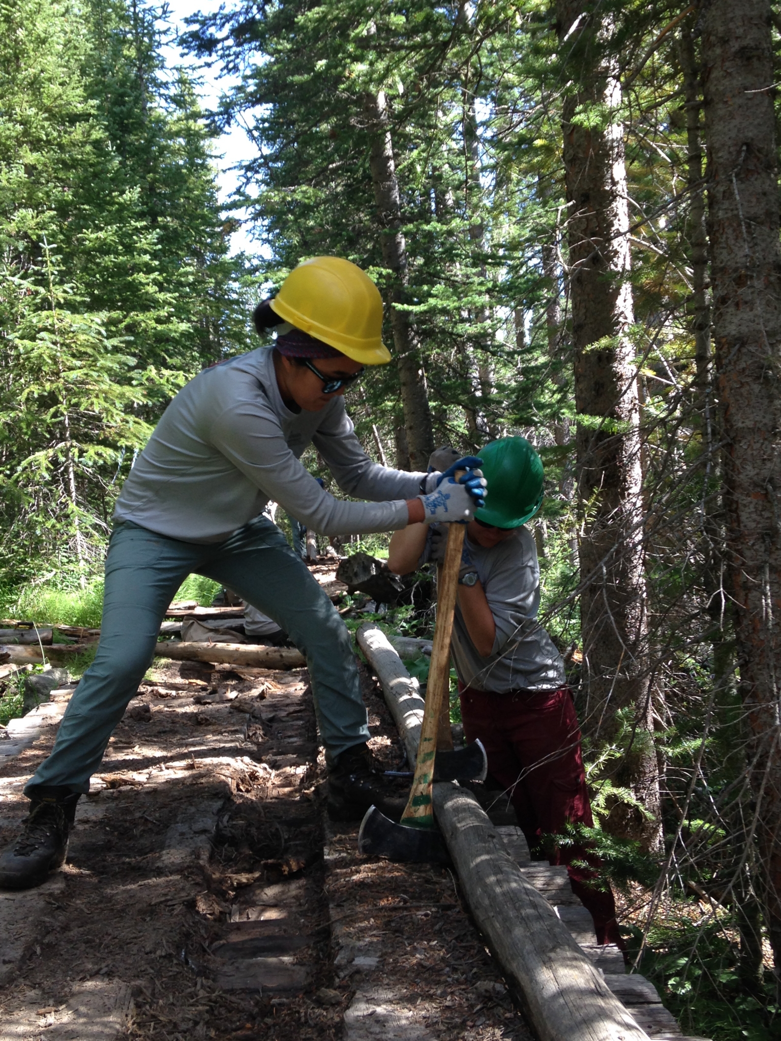 Two people in helmets use a long saw to cut a log in a forested area.