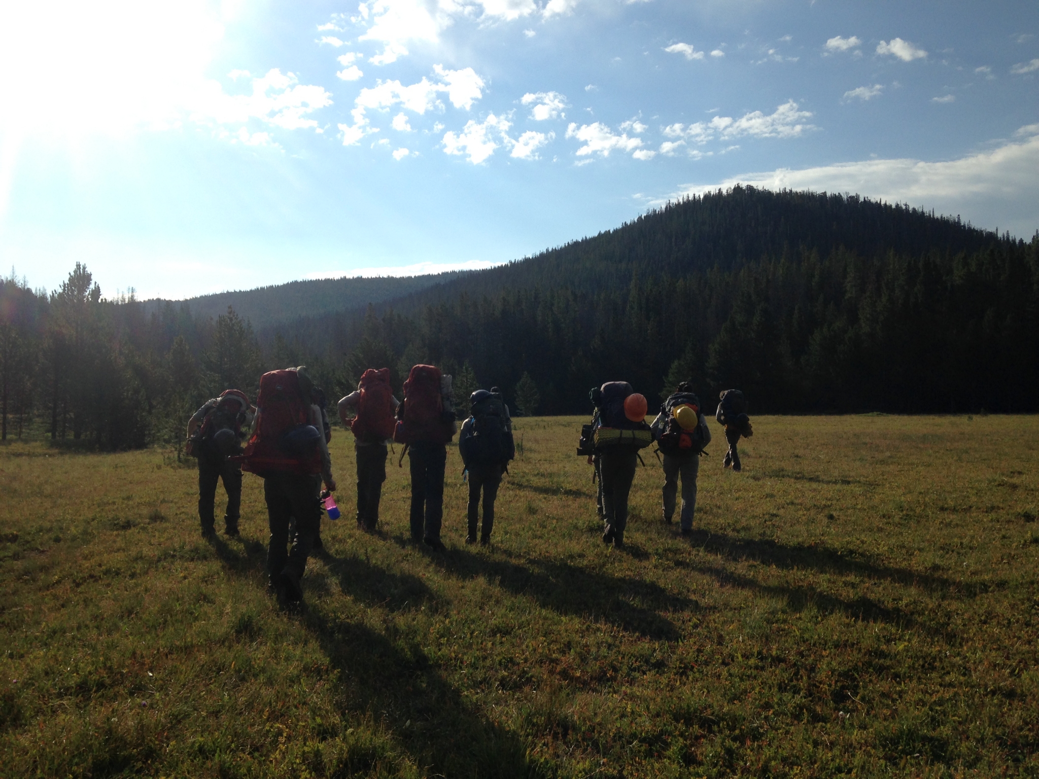 A group of hikers with backpacks walking through a sunny meadow towards a forested hill.