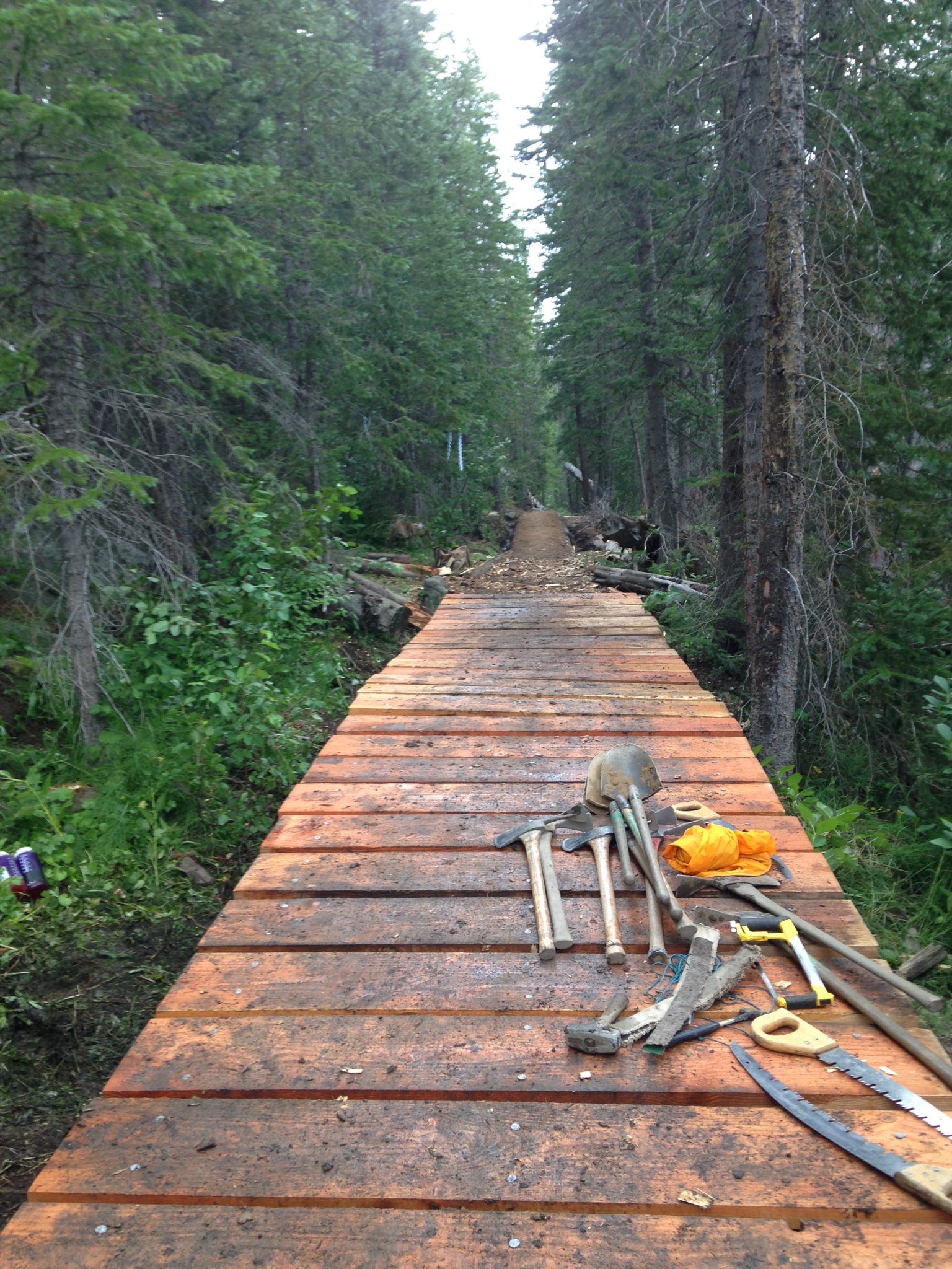 A wooden boardwalk under construction in a dense forest, with tools and construction materials scattered around.