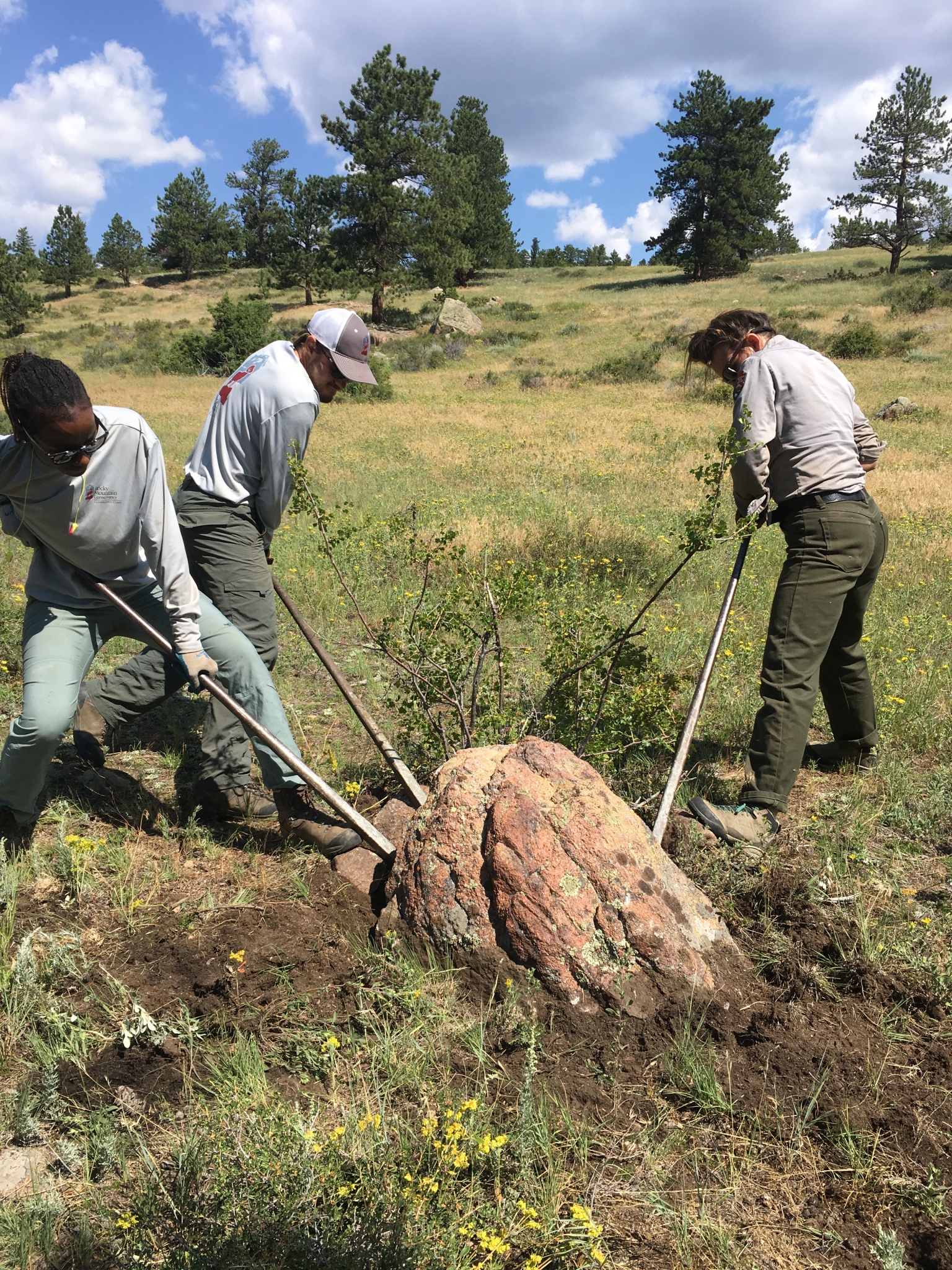 Three park rangers using levers to move a large rock in a grassy field with trees and hills in the background.