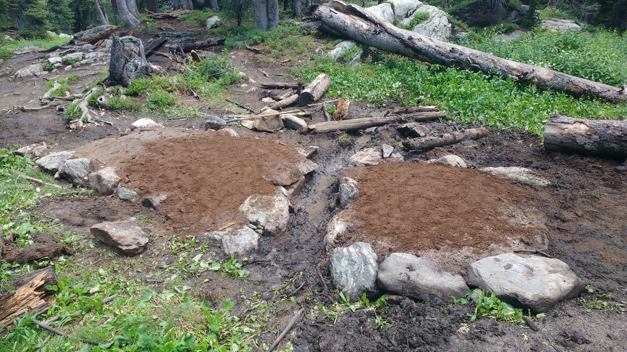 Two freshly dug pits surrounded by rocks and debris in a forest, with fallen logs and green vegetation in the background.