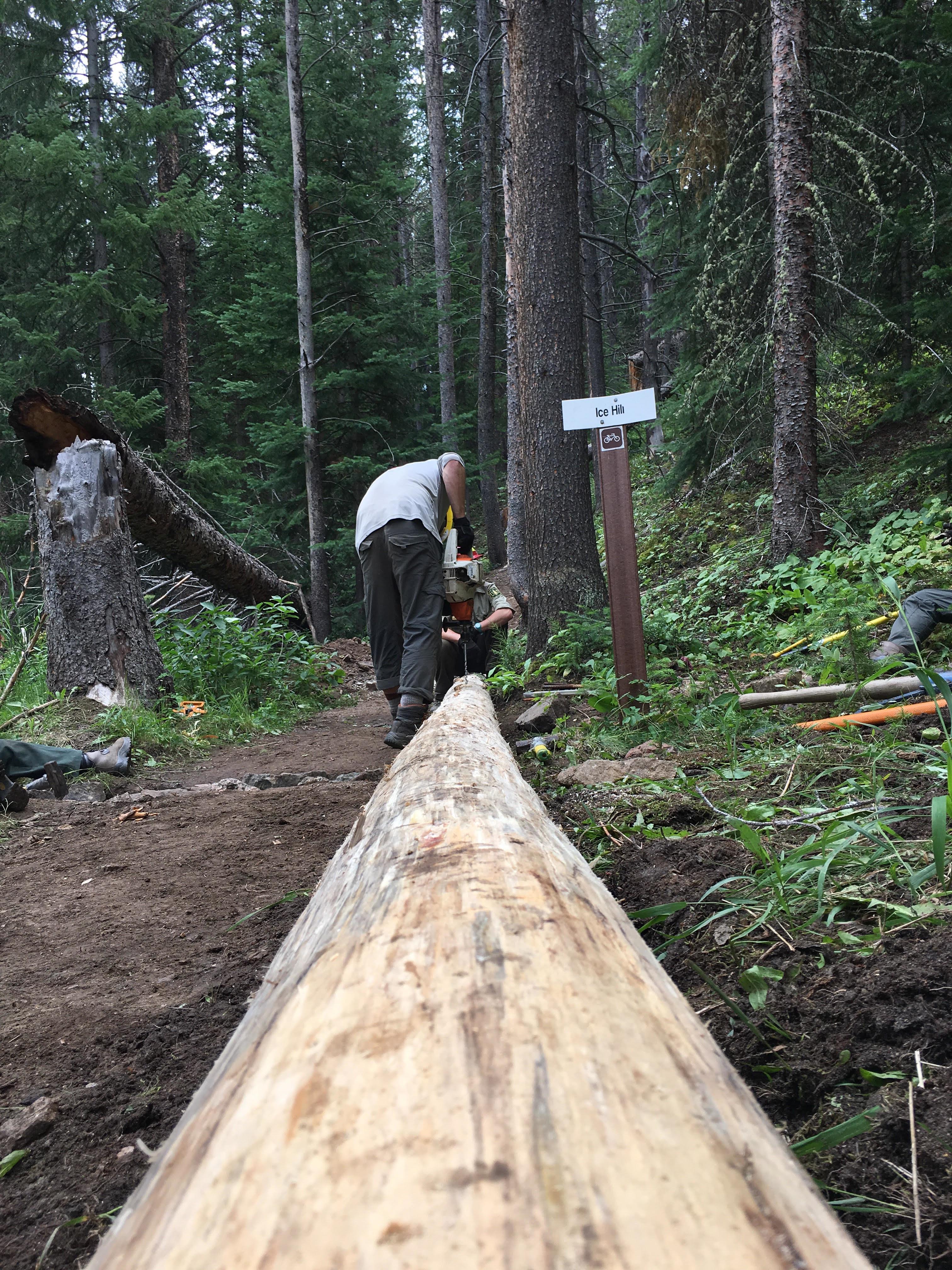 A person using a chainsaw to cut a fallen tree near a trail sign labeled "eagle cap" in a dense forest.