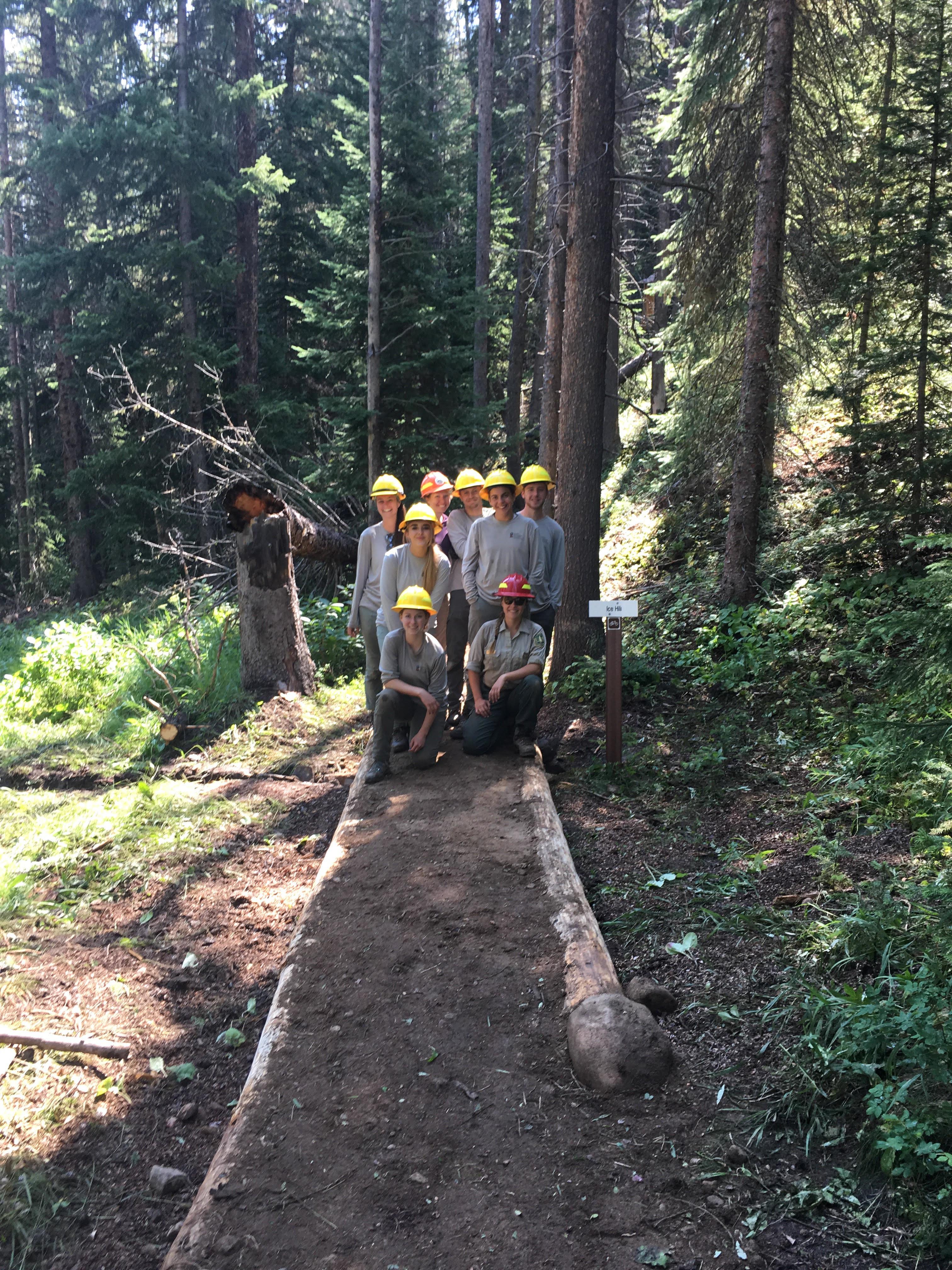 Group of people wearing yellow hard hats pose for a photo in a forest, standing on and around a wooden walkway.