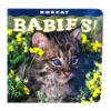 Babies Bobcat
