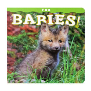 A book with the title Fox Babies.