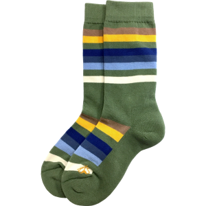 A green striped sock with multi colored stripes - Pendleton RMNP Collection Crew Socks.