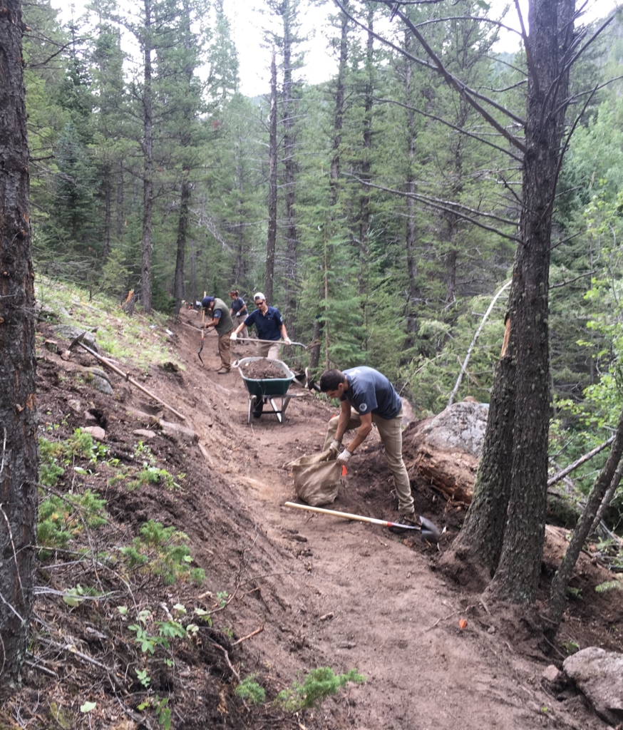 A group of people working on a trail in the woods.