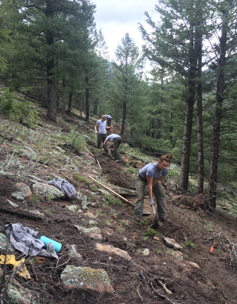 A group of people working on a trail.