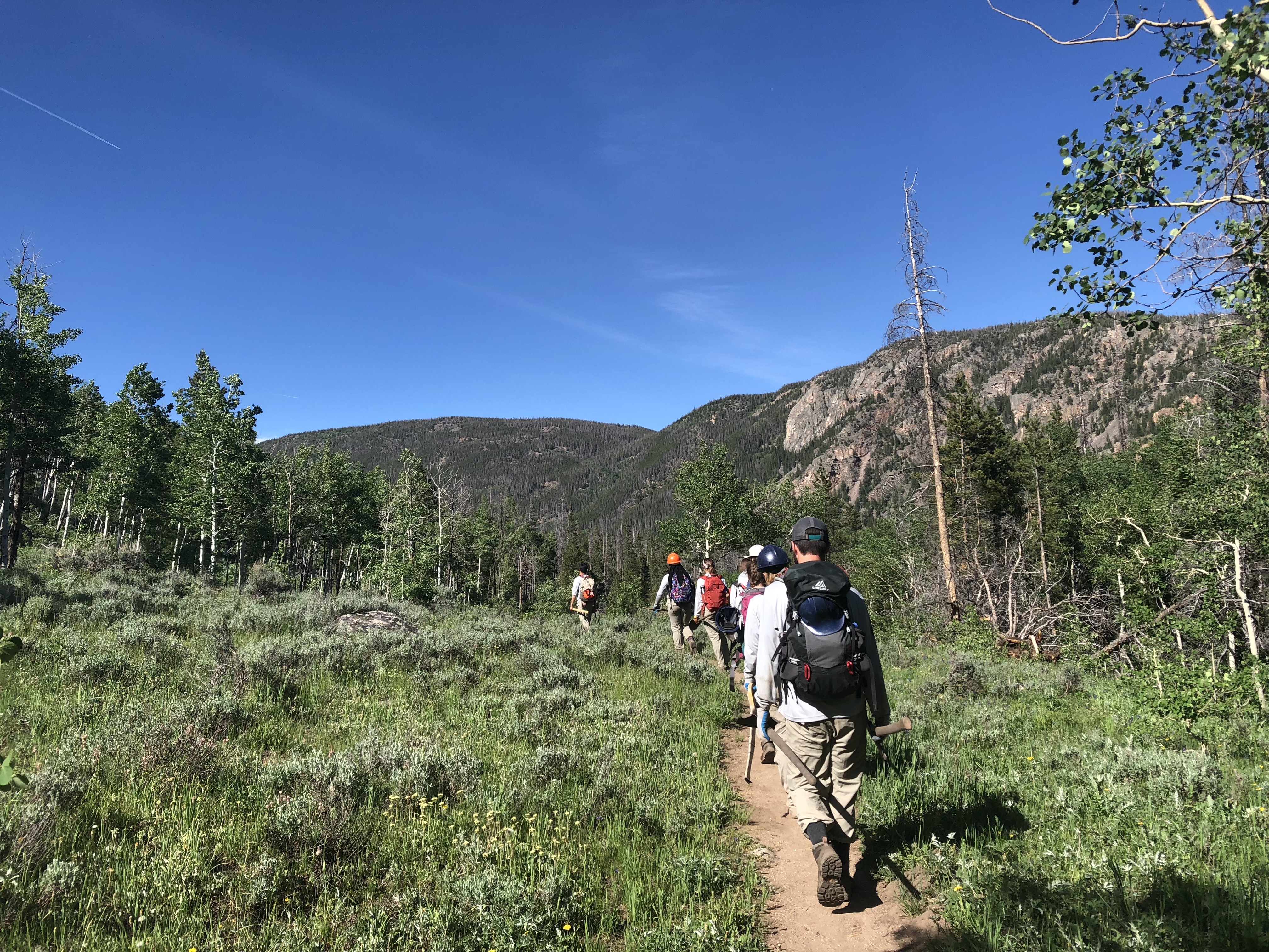 Group of hikers walking on a trail through a mountainous forest under a clear blue sky.