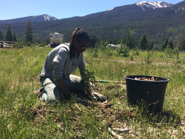 A woman kneels on grass while planting, with a mountainous landscape in the background.