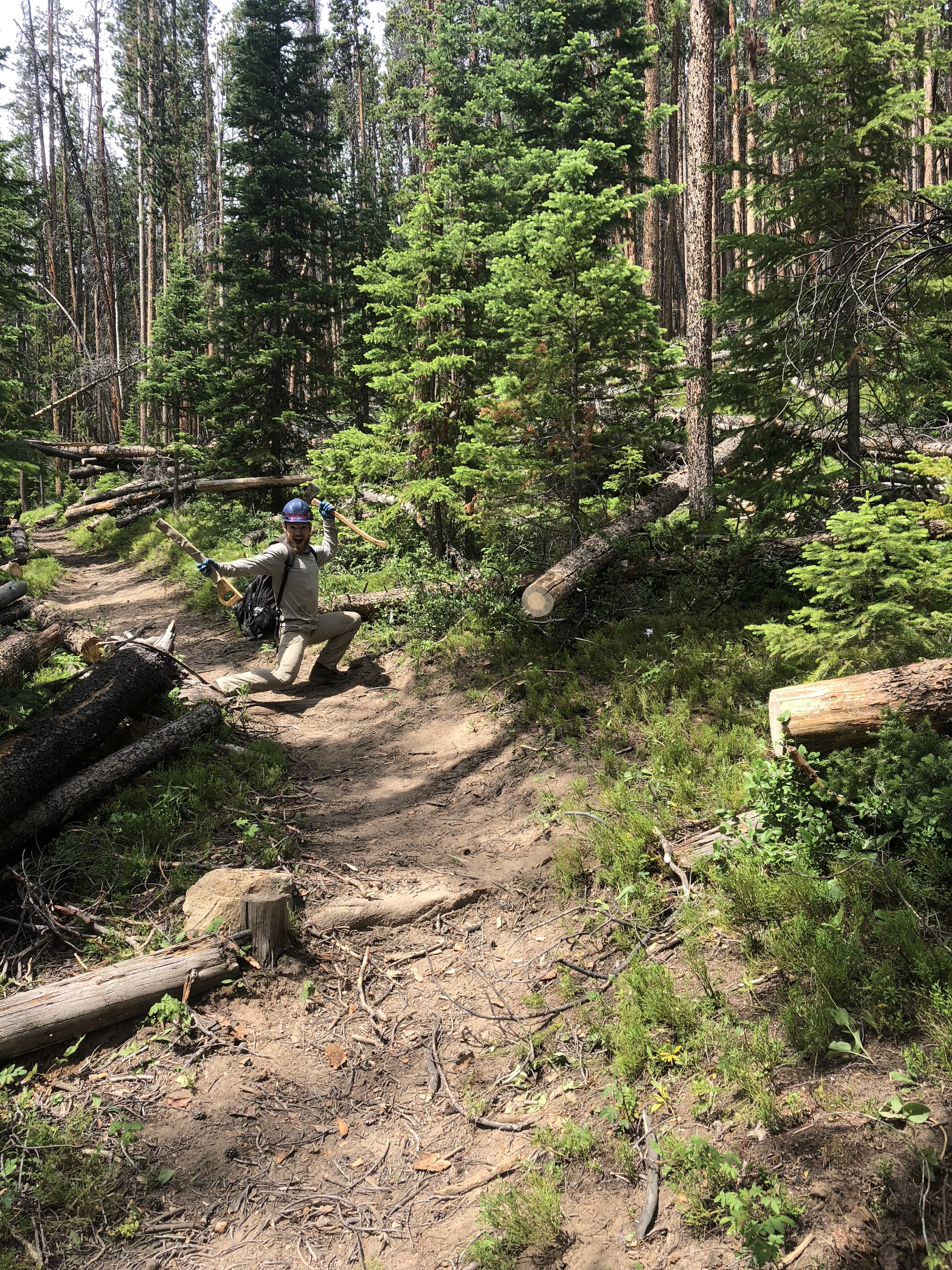 A hiker with a backpack pausing on a forest trail surrounded by tall pine trees and fallen logs.