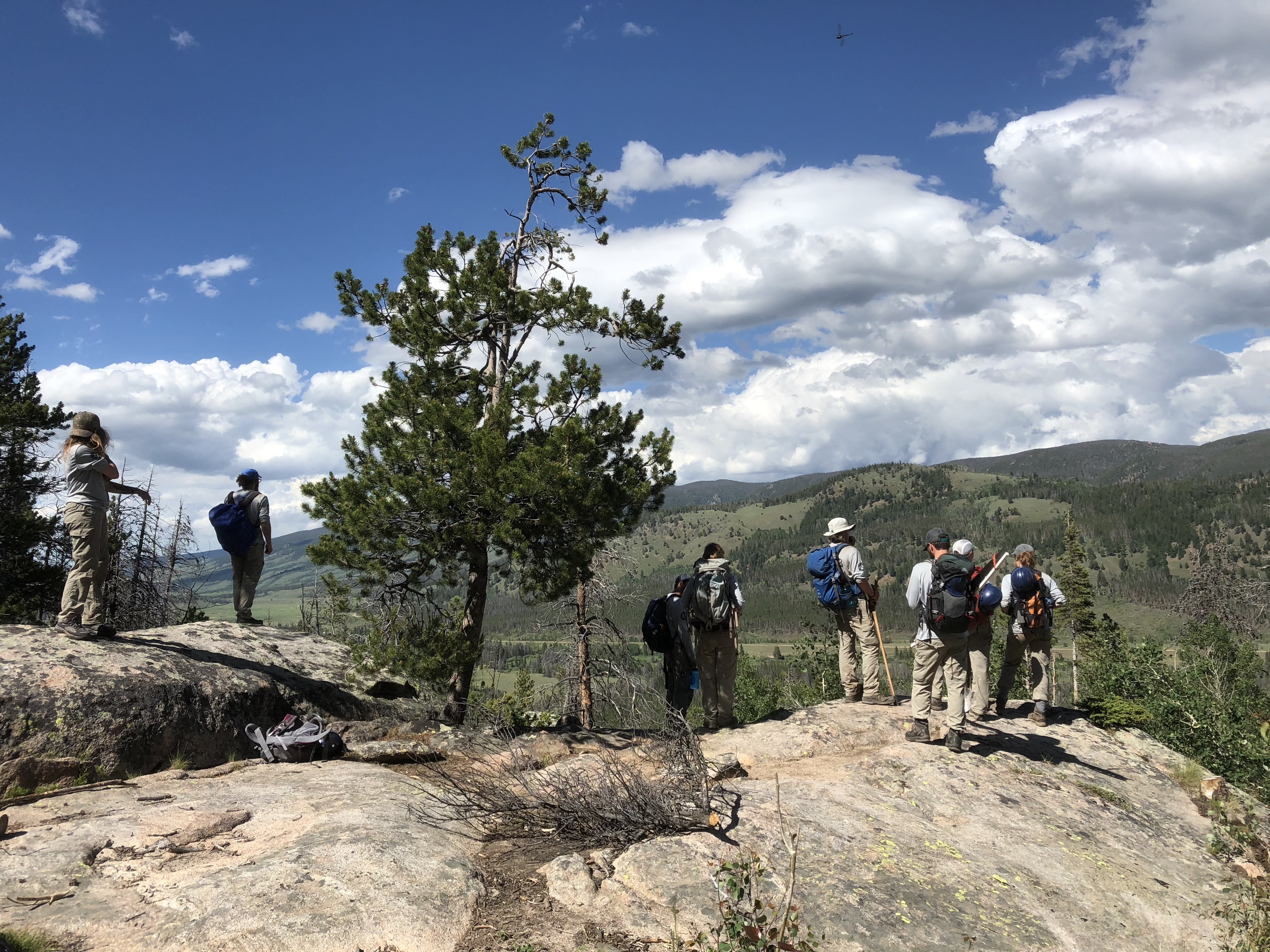 A group of hikers on a rocky outcrop overlooking a forested valley.