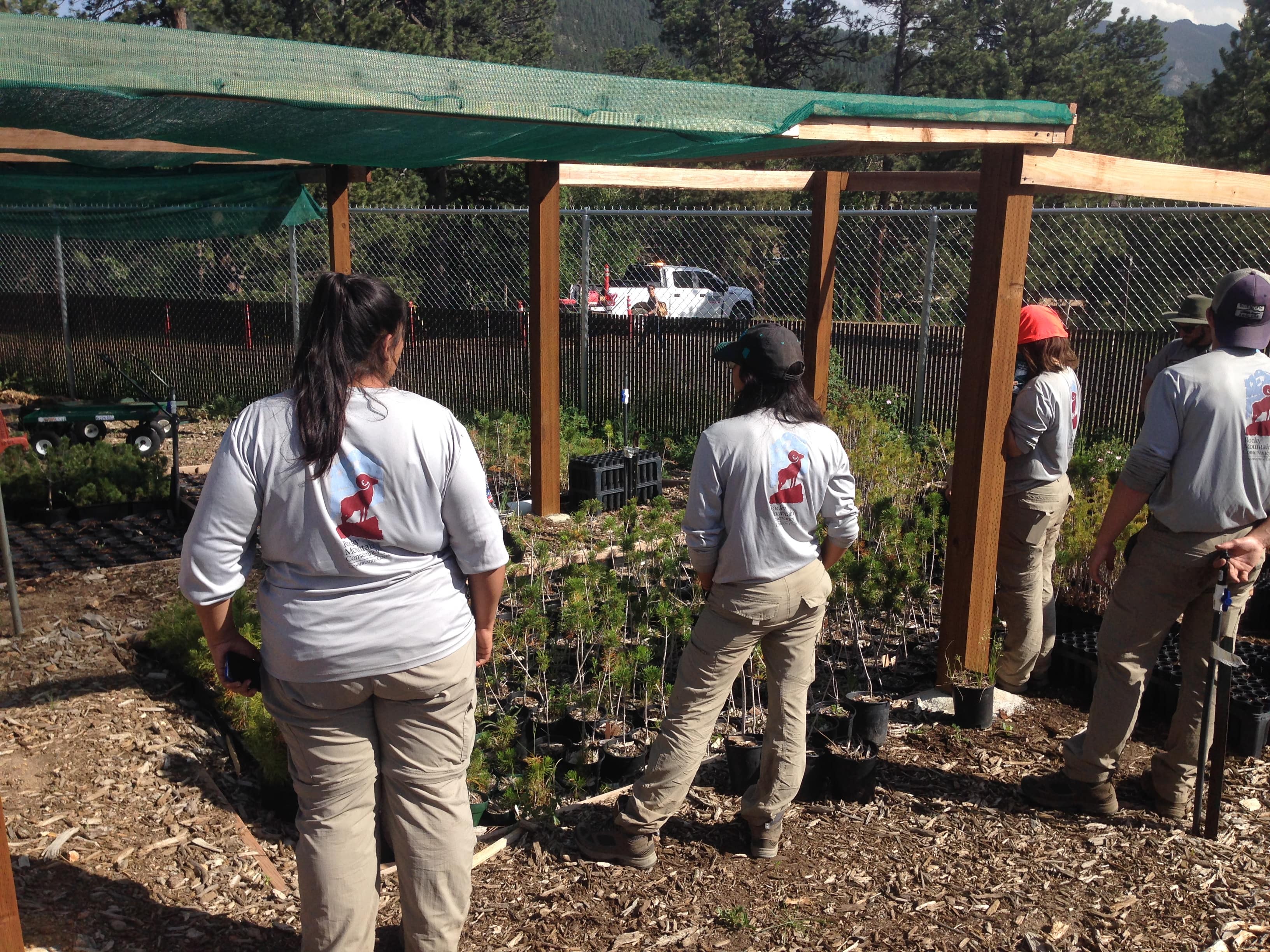 People working with plants under a wooden frame