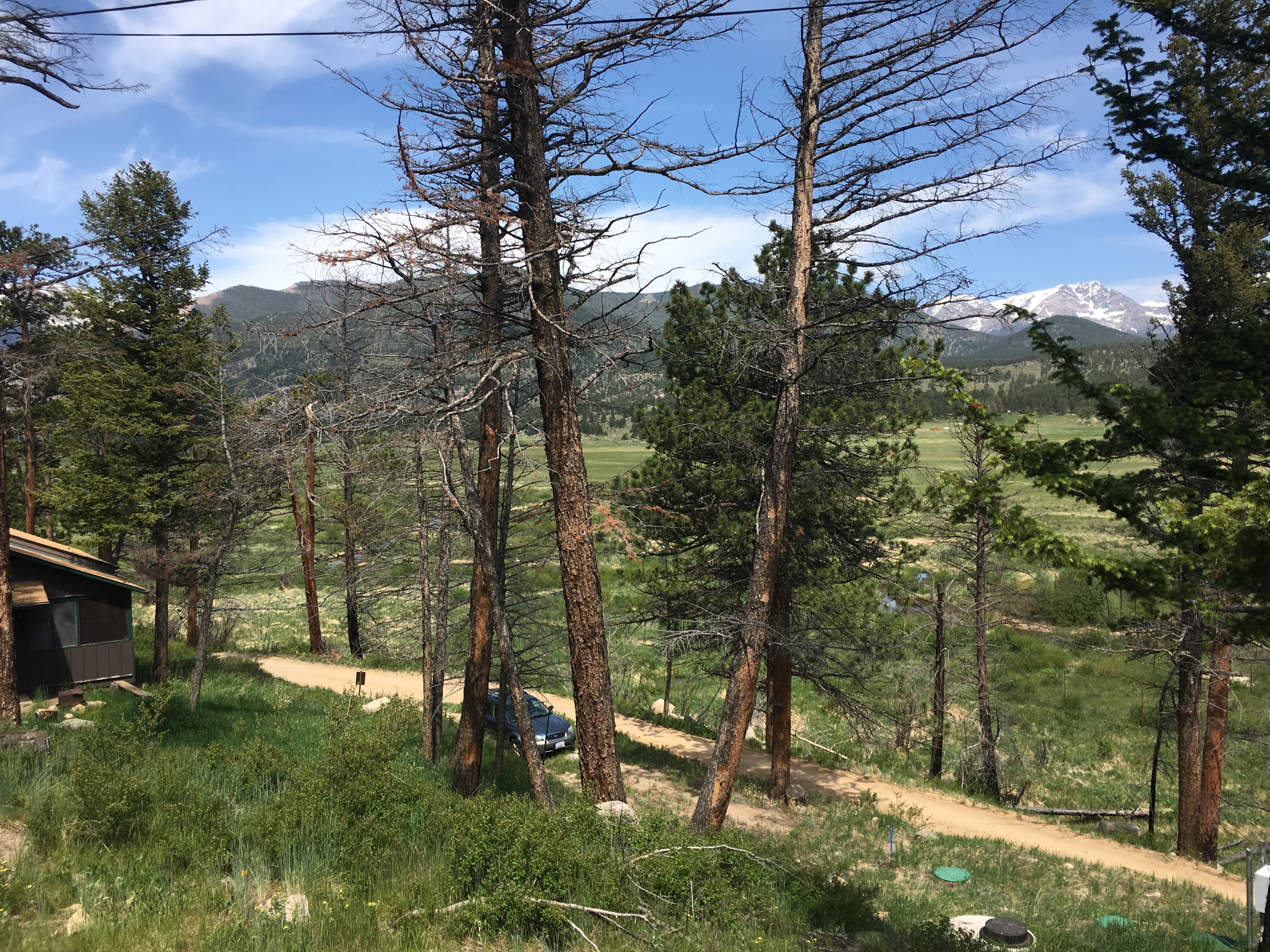 View of a mountain landscape with scattered trees