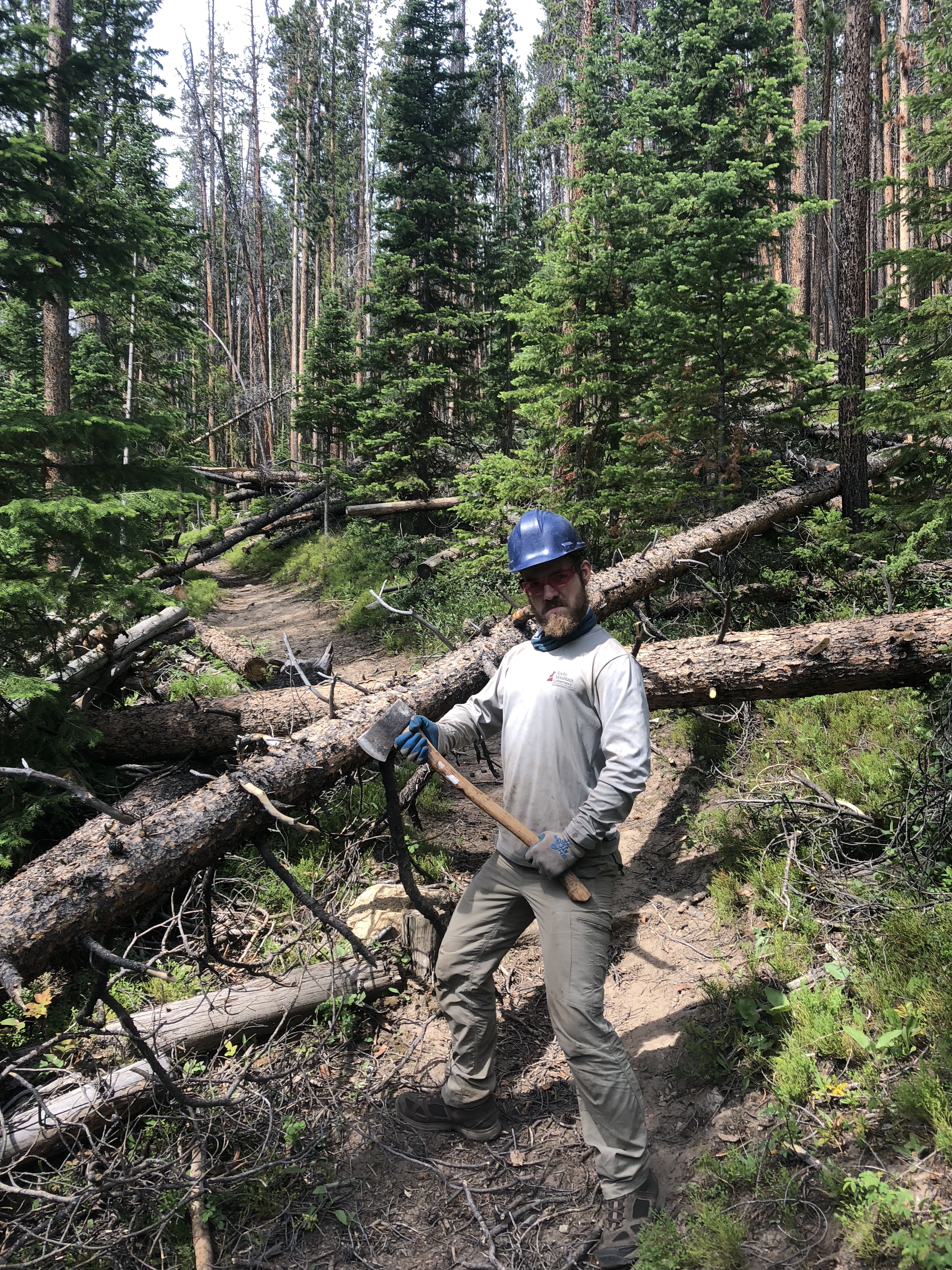 A man in a hard hat and gloves holding an axe stands by fallen trees in a dense forest.