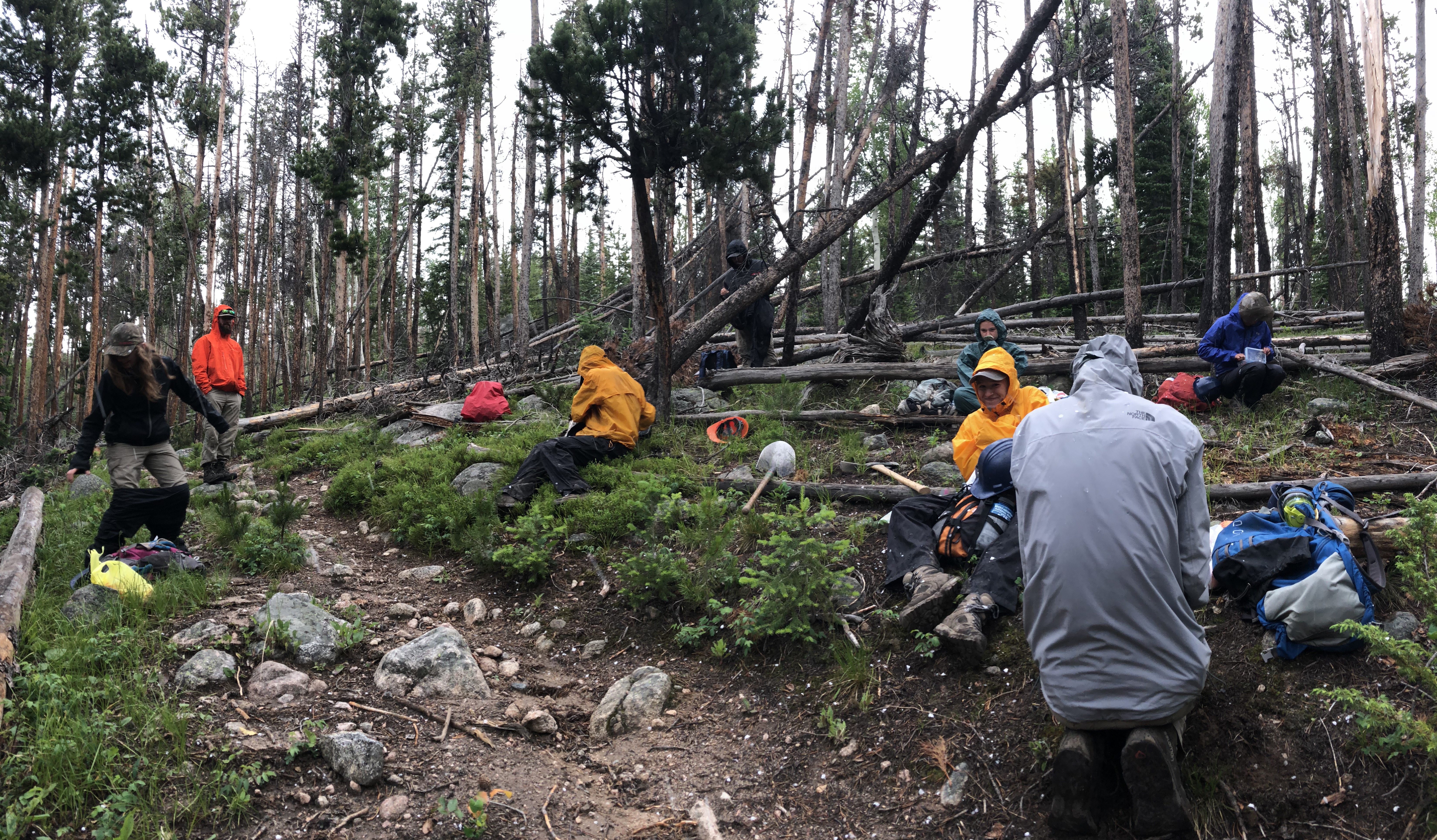 A group of hikers enduring a light blizzard in a forest