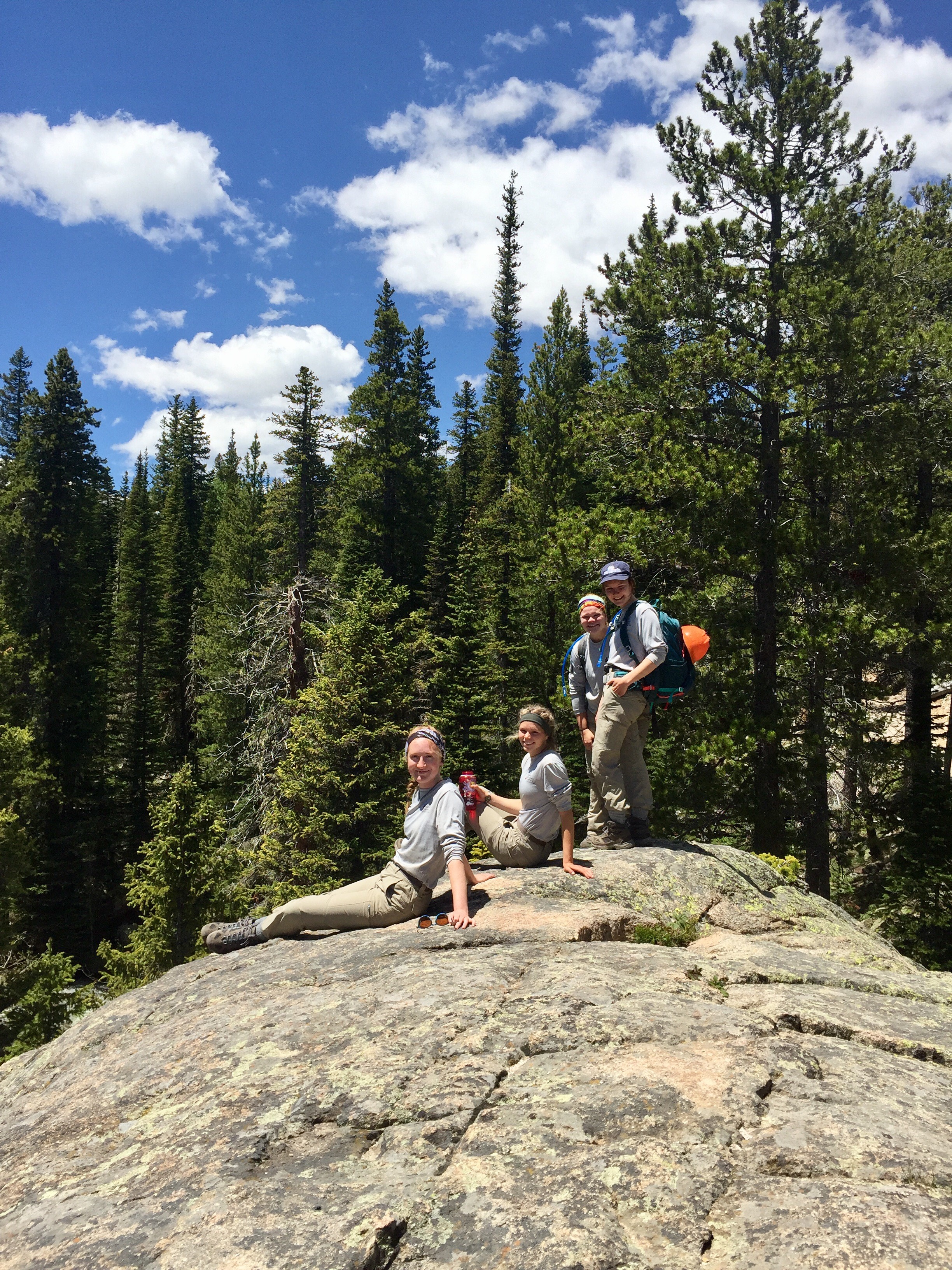 Four hikers posing on a large rock surrounded by pine trees under a clear blue sky.