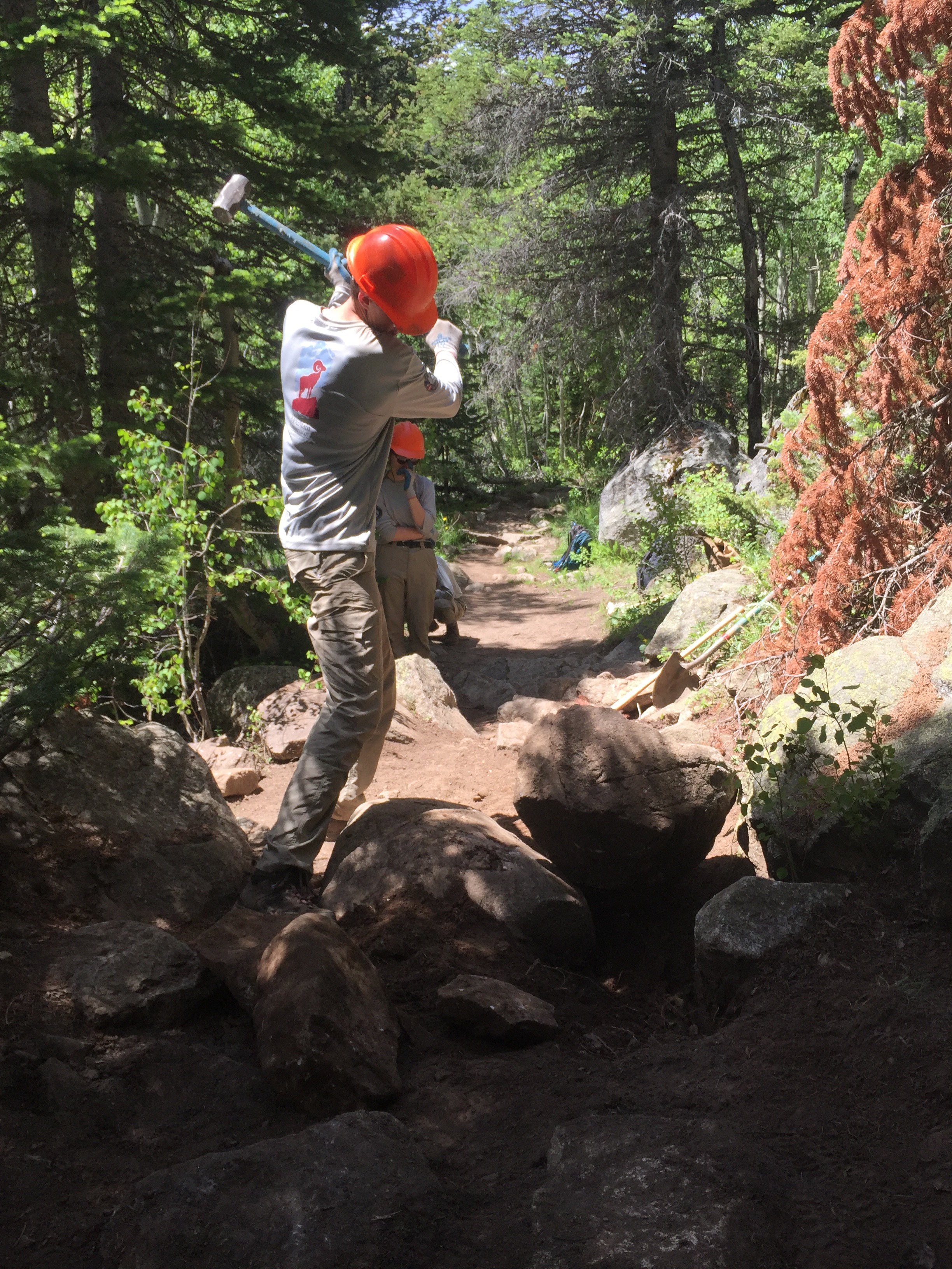 A person in a hard hat using a sledgehammer to break rocks on a forest trail.