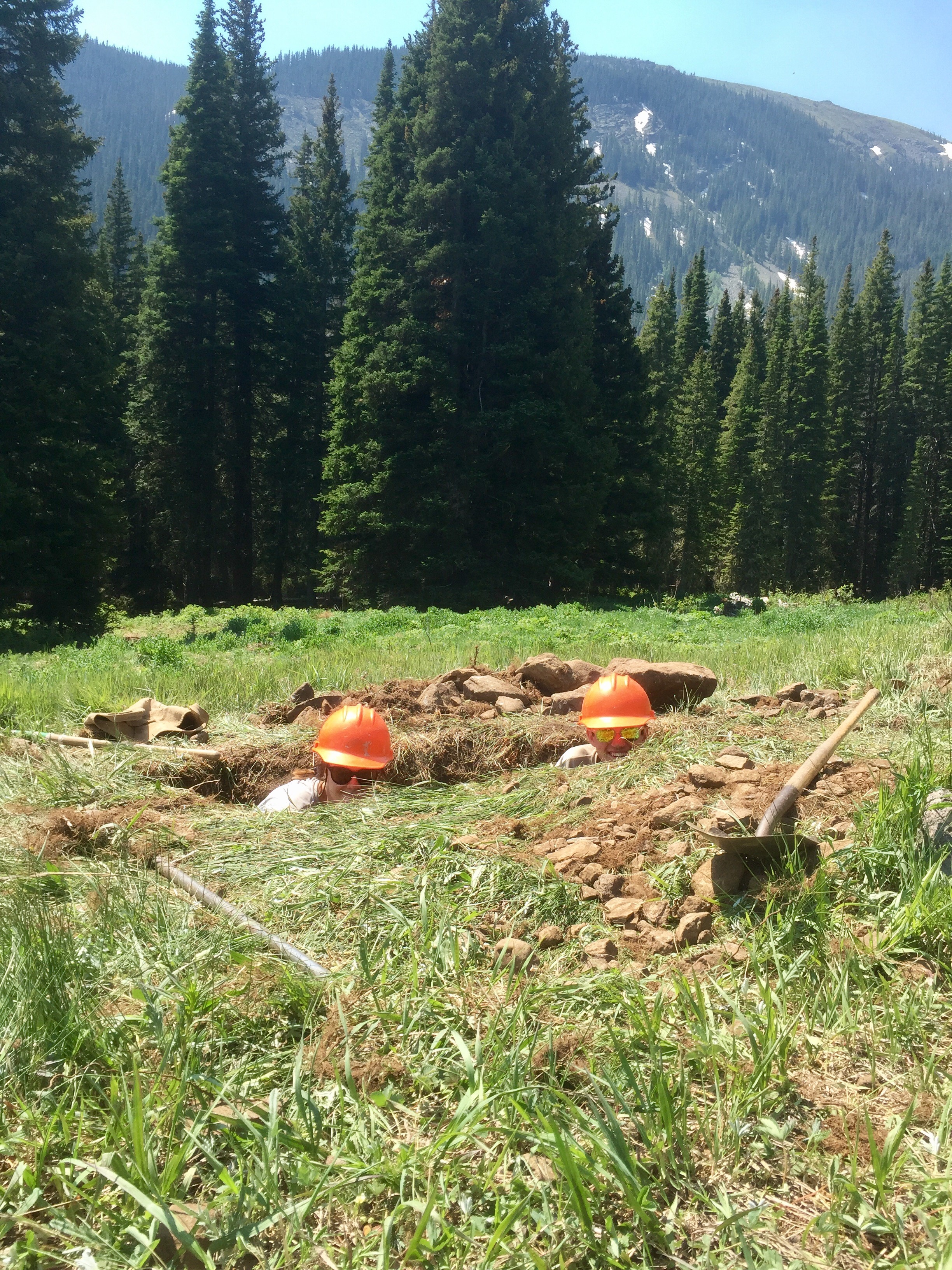 Two workers digging a hole in a forest