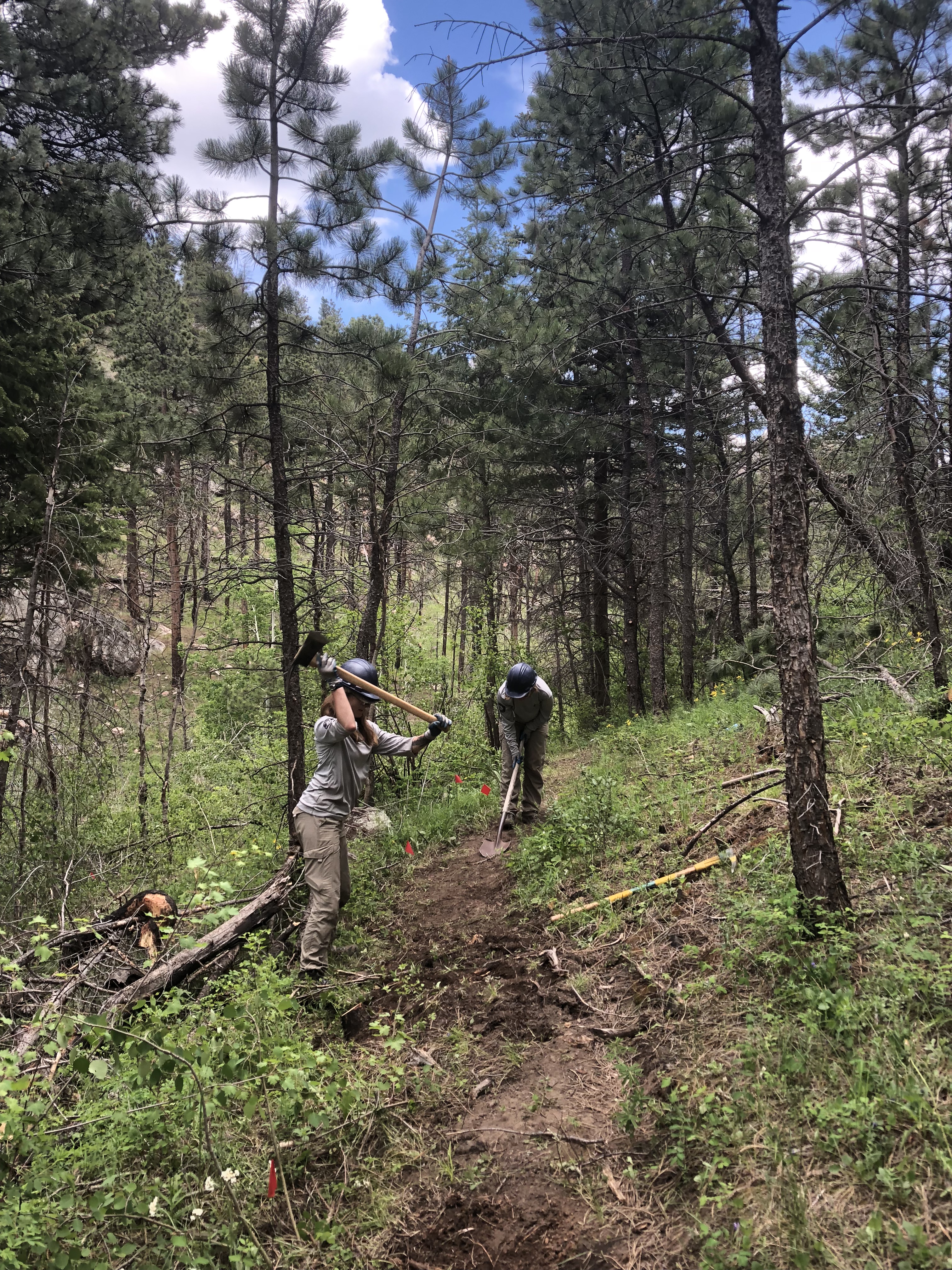 Two people working on constructing a trail in a forest