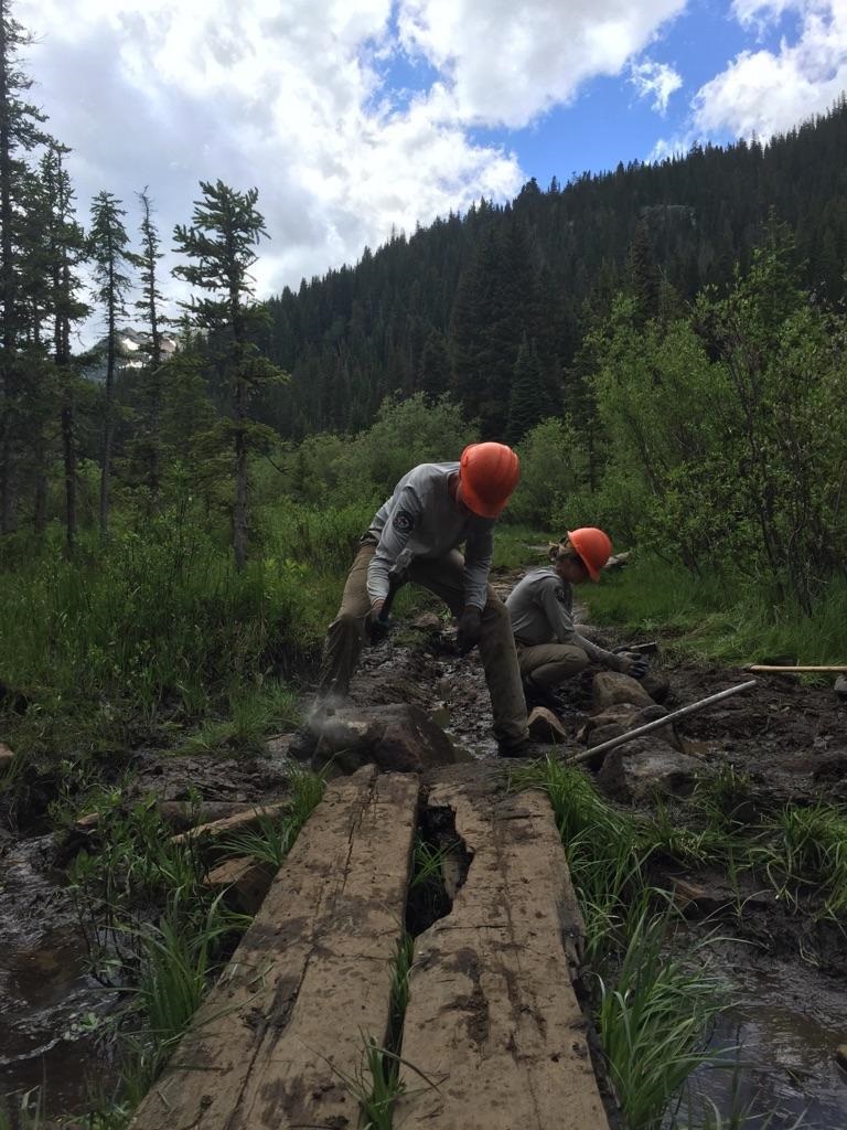 Two forest workers in safety helmets build a wooden path over a muddy area