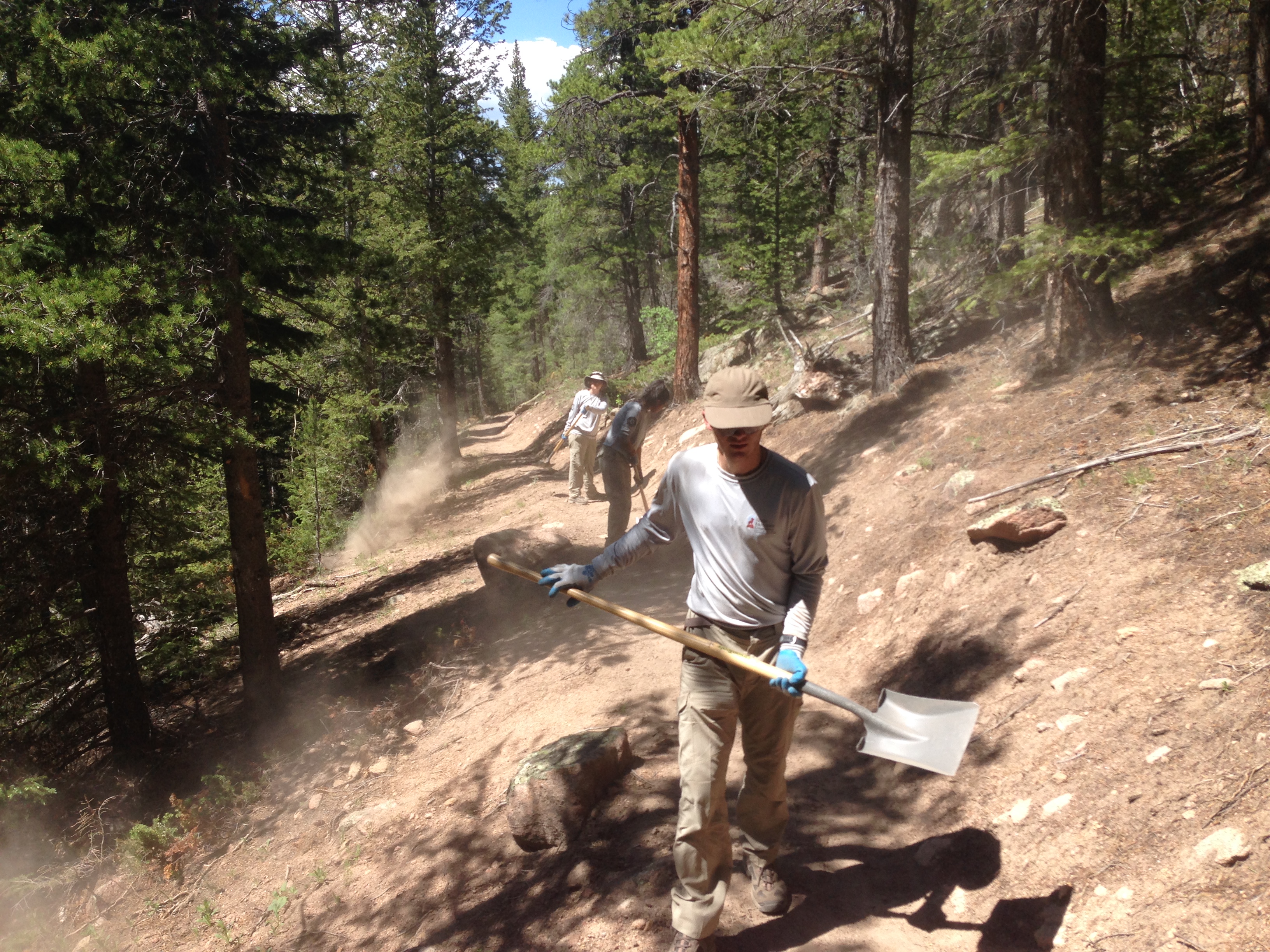 Volunteers using shovels and tools for trail maintenance in a sunlit forest setting.