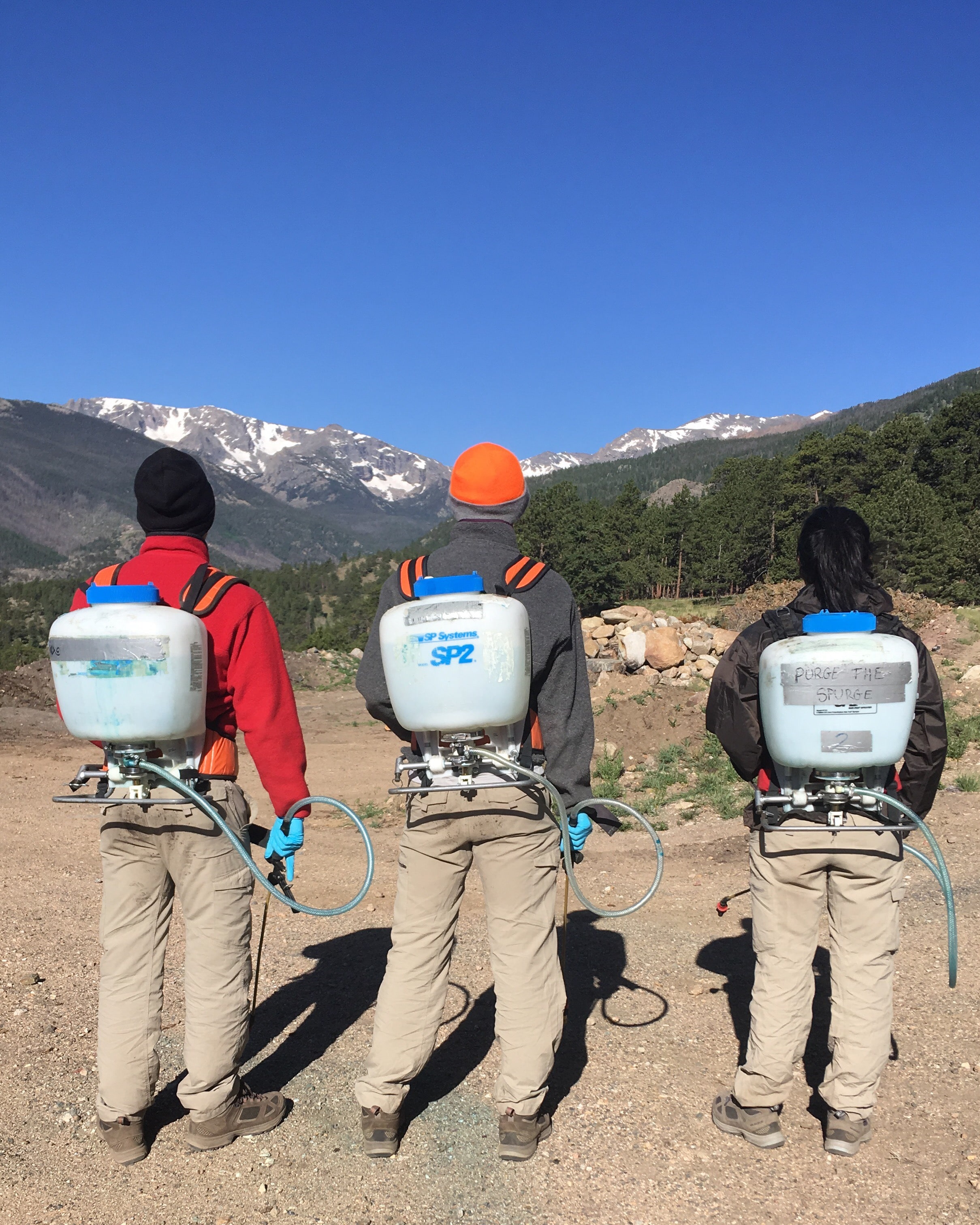 Three workers wearing backpack sprayers stand facing a mountainous landscape