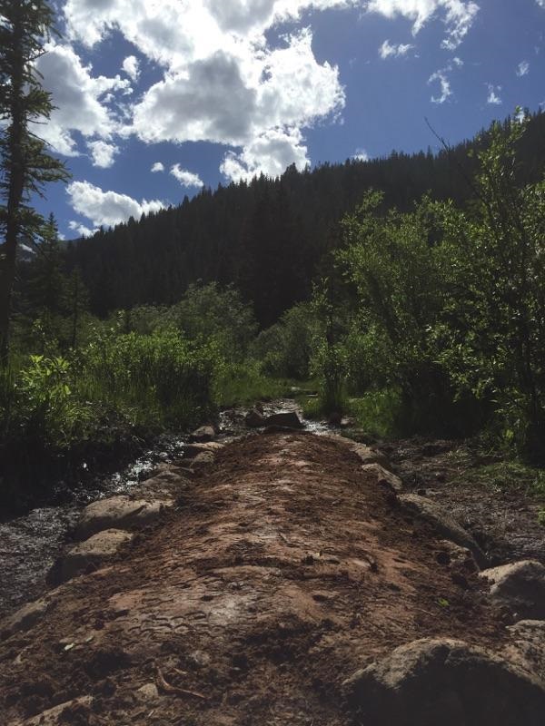 A muddy trail winds through a lush green forest