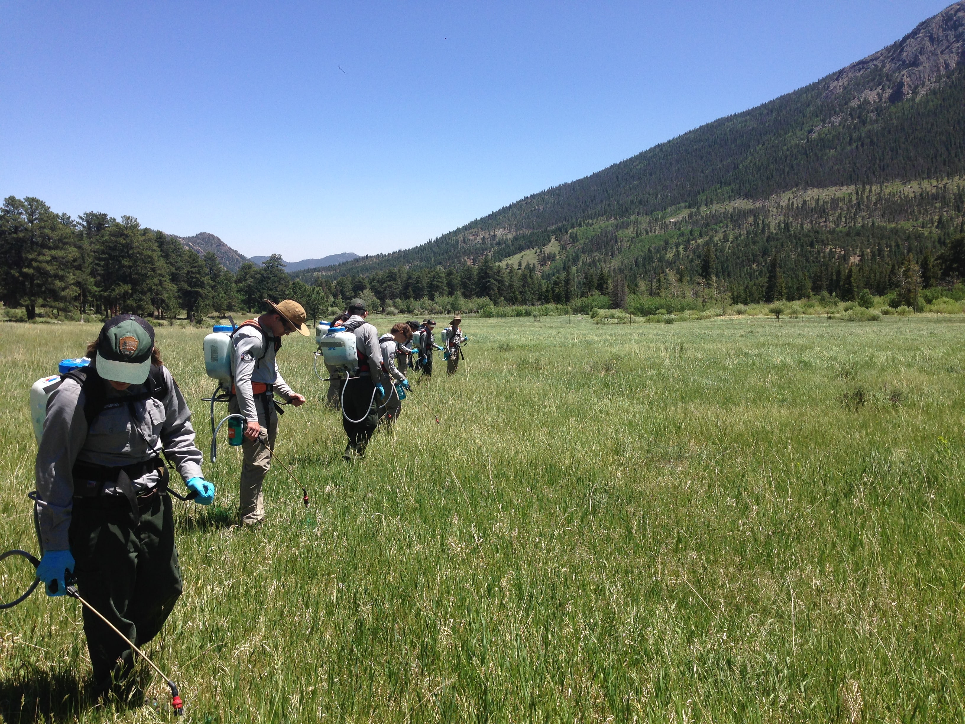 Vegetation crew and Estes crew walking with packs-min