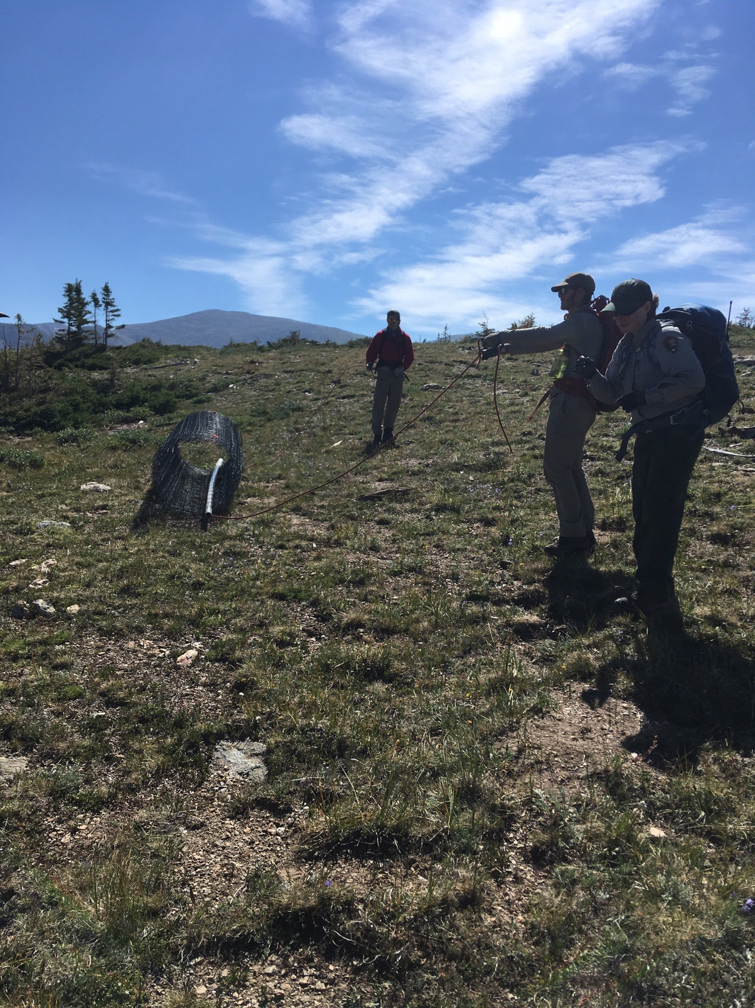 Three hikers with backpacks and walking sticks on a mountain trail