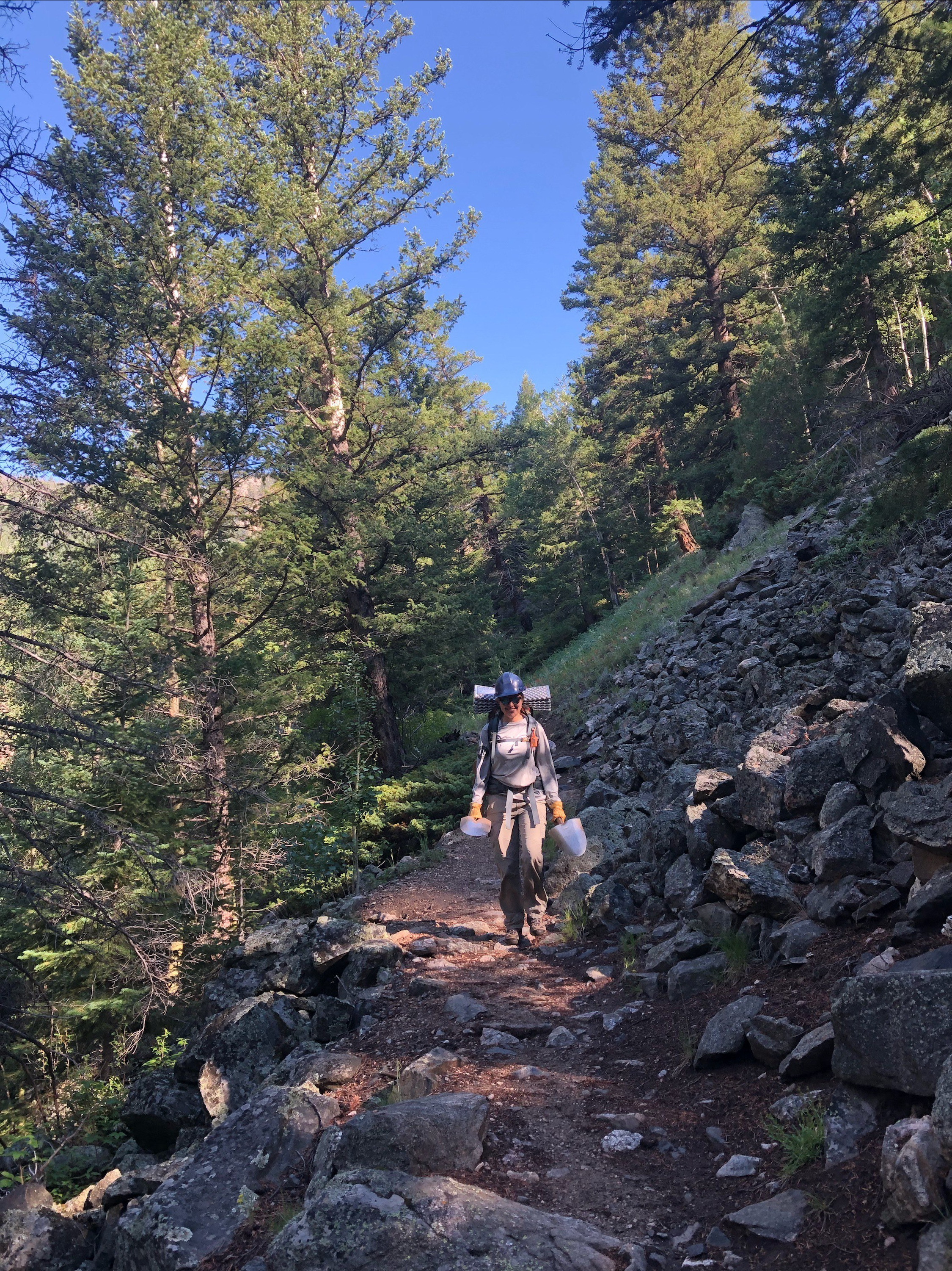 A hiker walking on a forest trail surrounded by pine trees and rocky terrain.