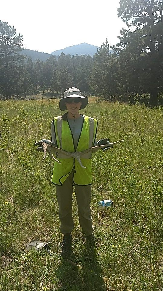 A person in a hat and reflective vest holding a snake in a grassy field with trees in the background.