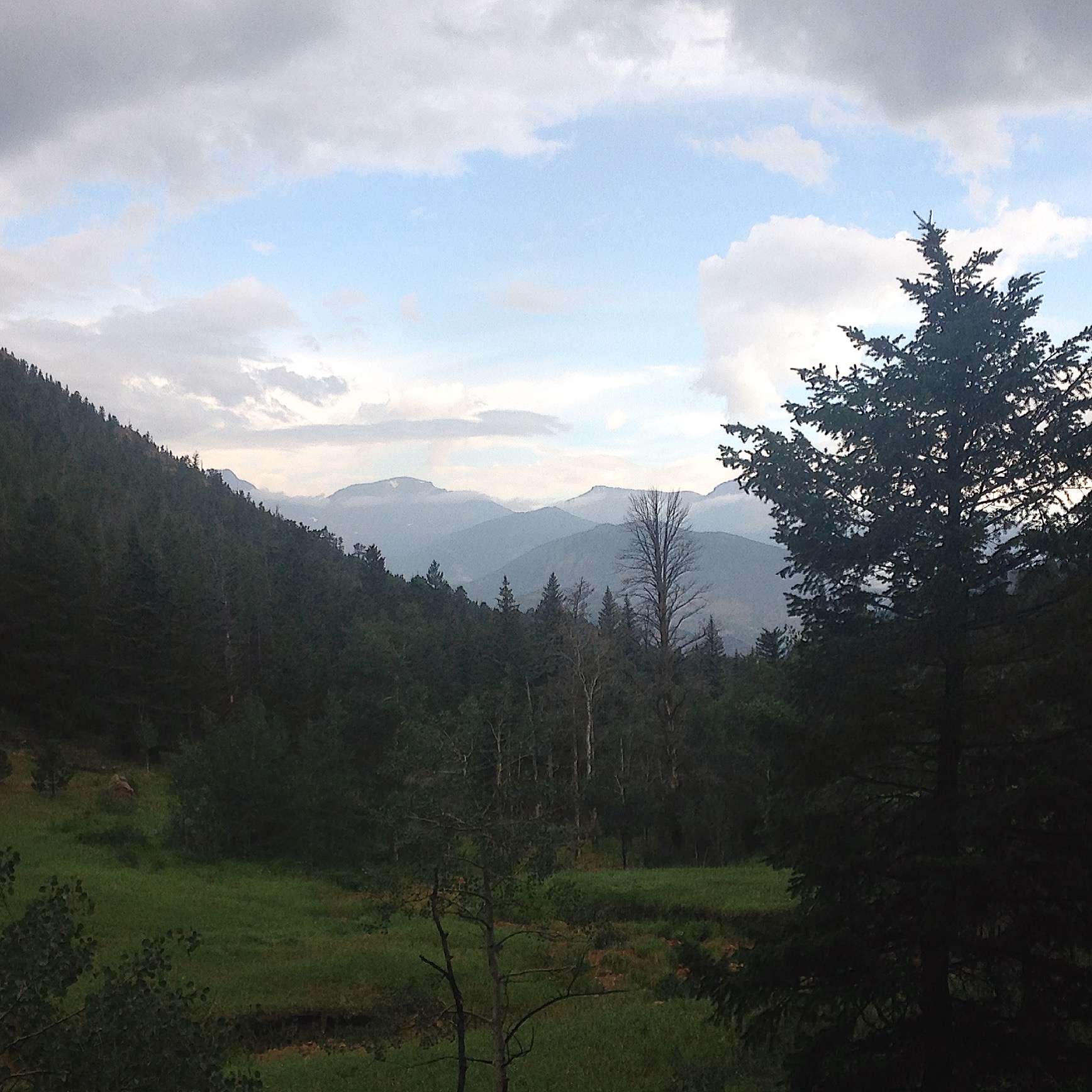 A scenic view of misty mountains with layers of tree