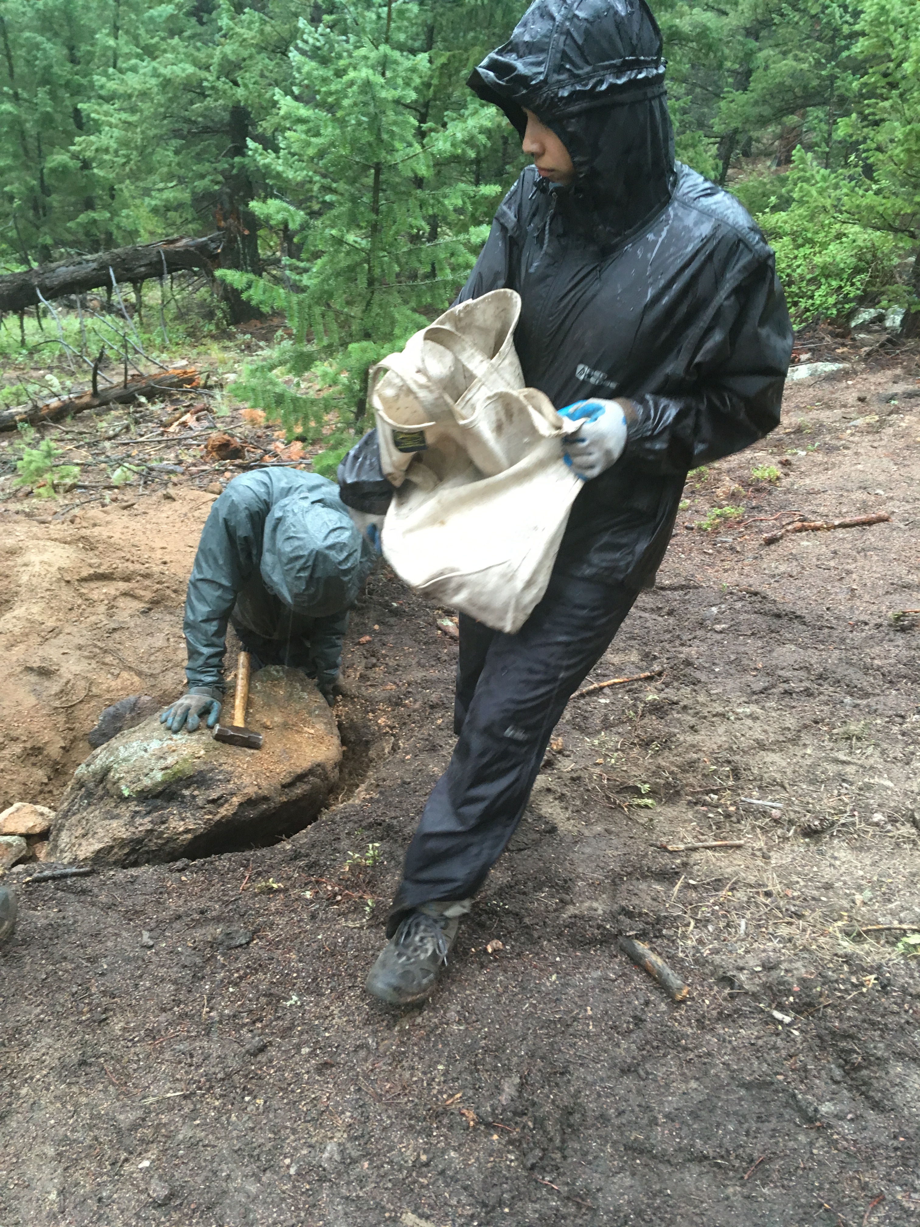 Two persons in a raincoat in a wet forest