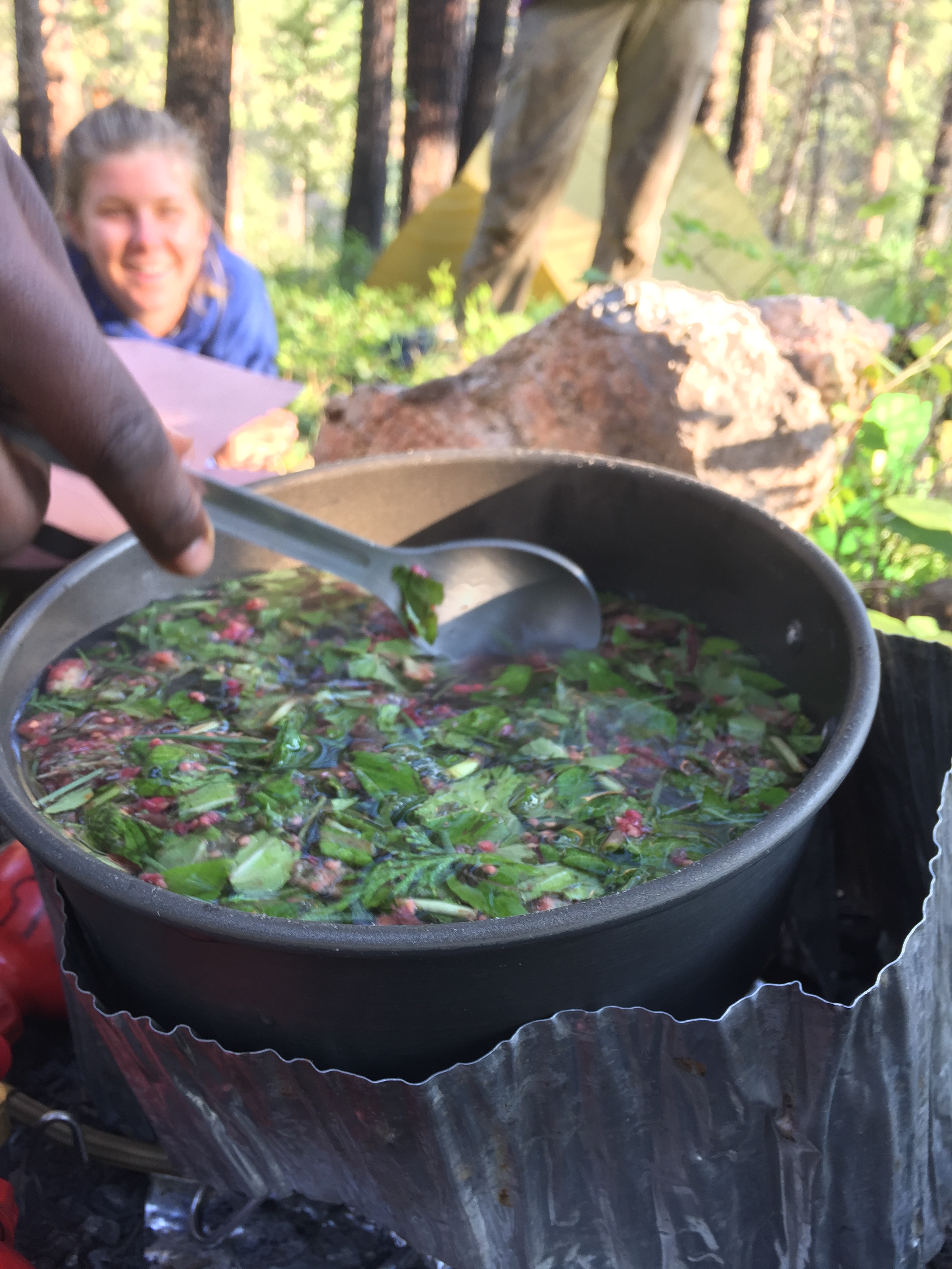 A person cooking in a forest, stirring a pot of soup with fresh herbs, with another individual smiling in the background.